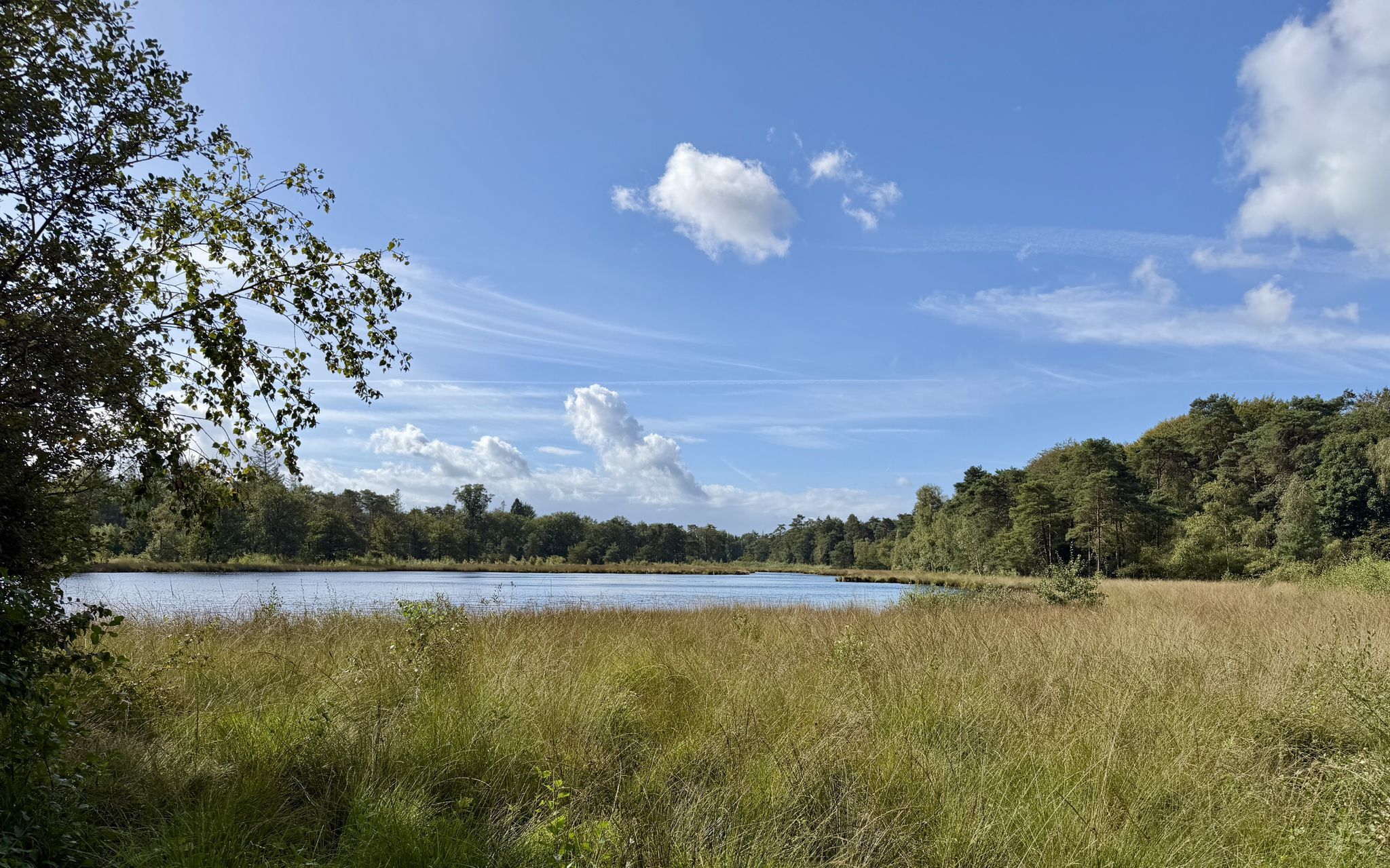 Zandveen