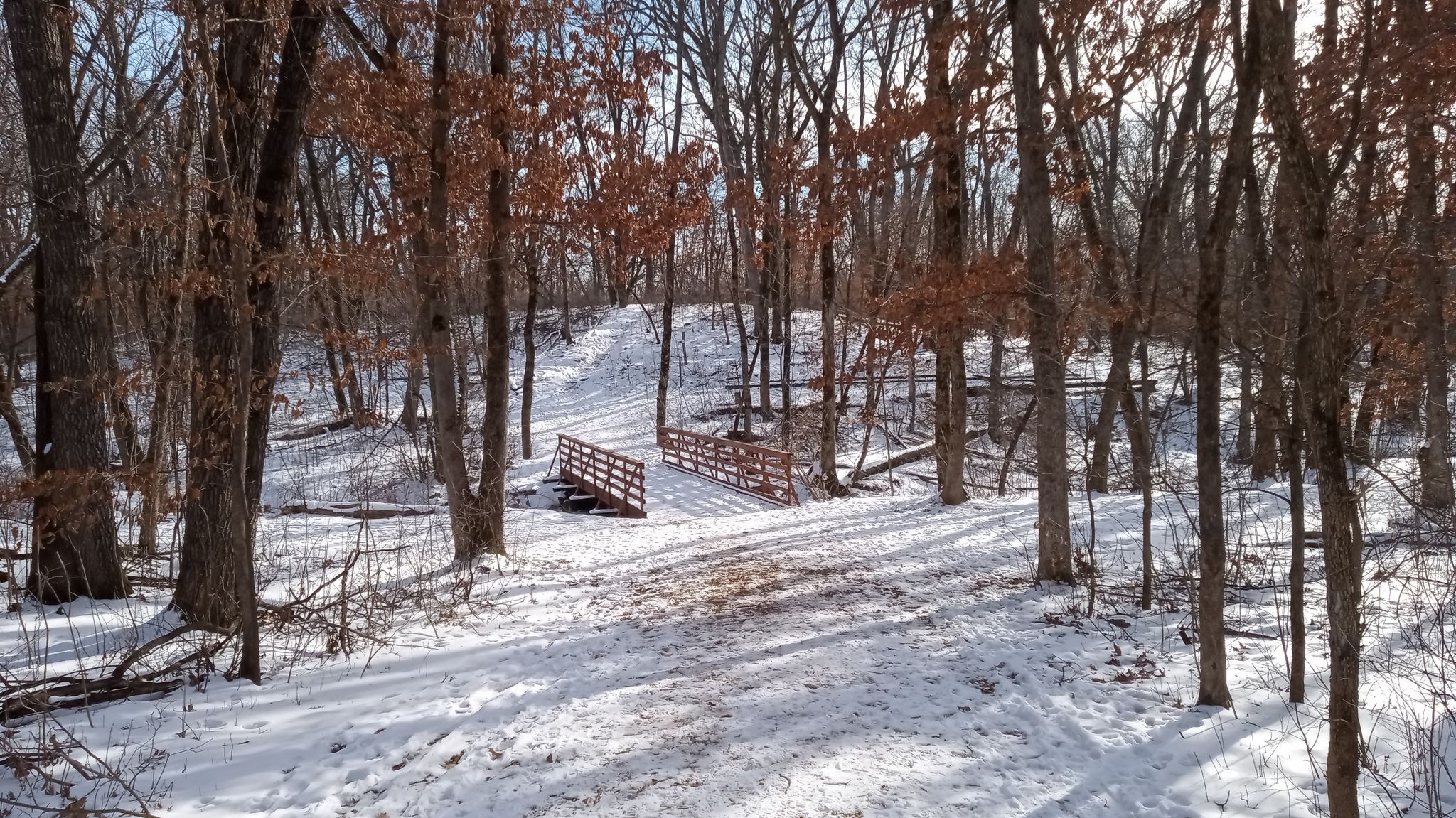 A snowy forest path leads to a small wooden bridge under bright sunlight. - Kaplan's Woods Outer Loop