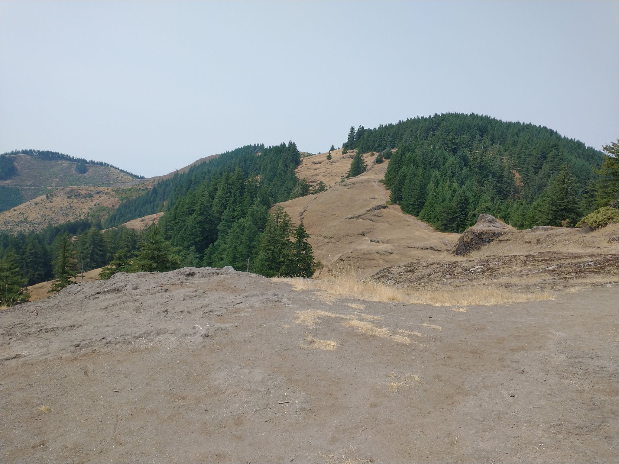 Overcast view of forested hills with a dirt path ascending a dry slope. - Horse Rock Ridge Trail
