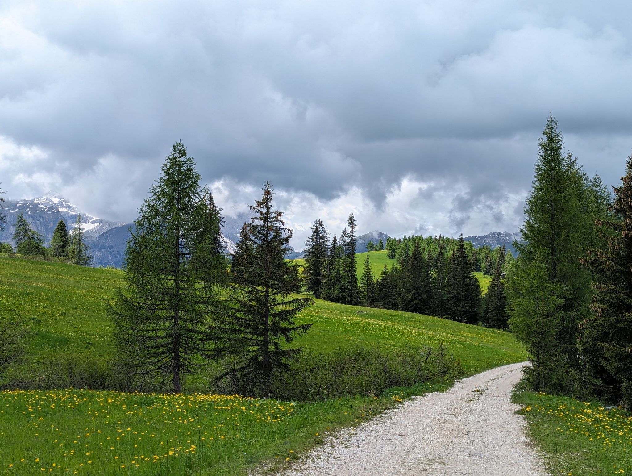 Das Wetter trübte sich ein und machte die Wiesenlandschaft noch fotogener