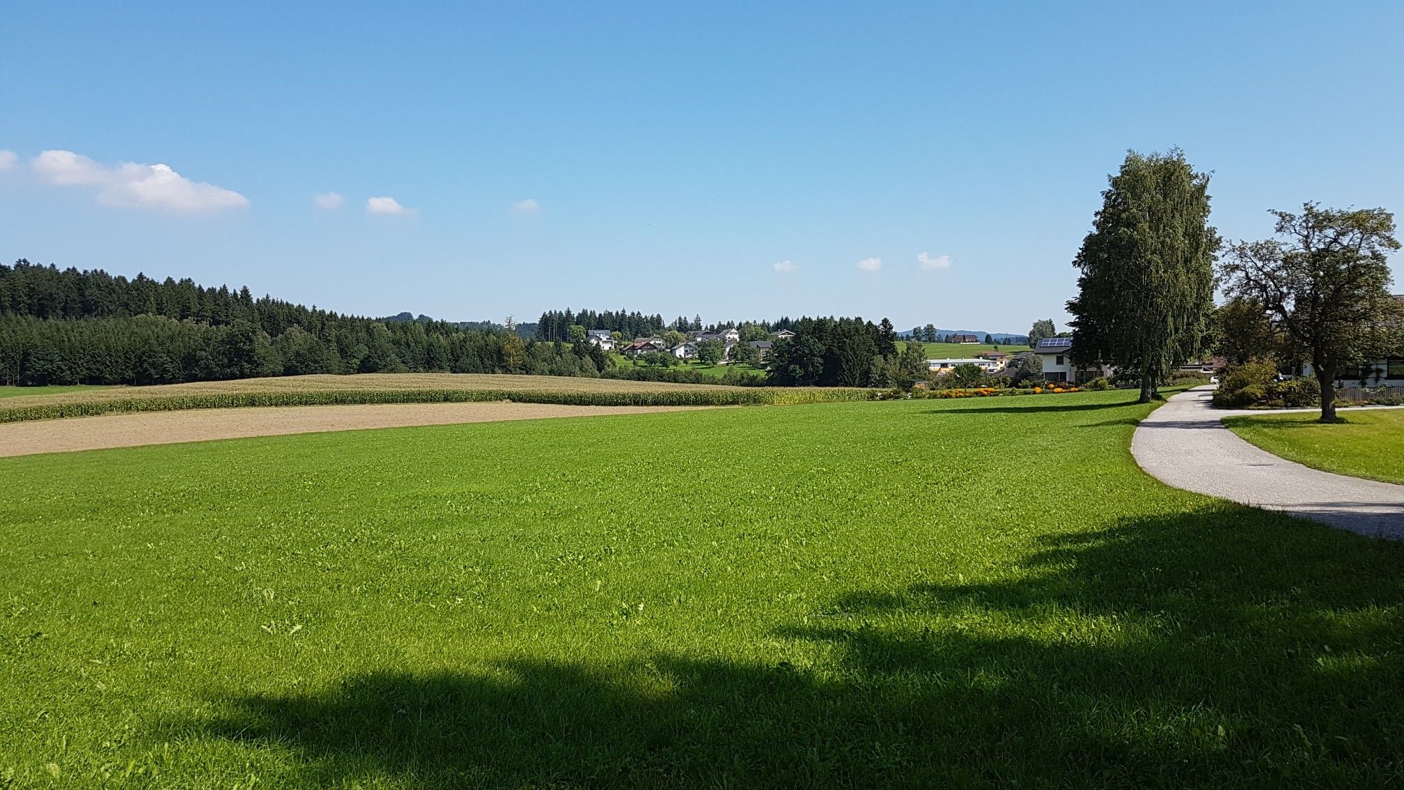 Auf dem Weg