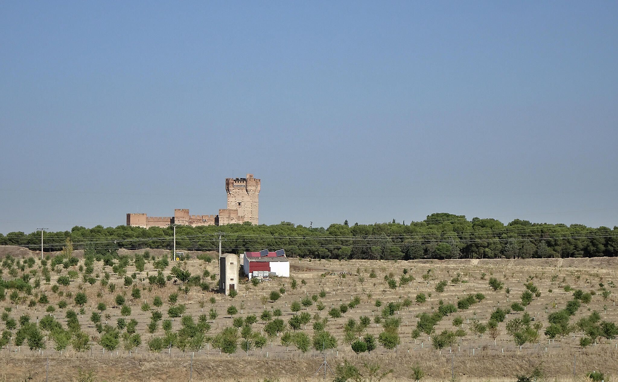Castillo de la Mota. Medina del Campo
