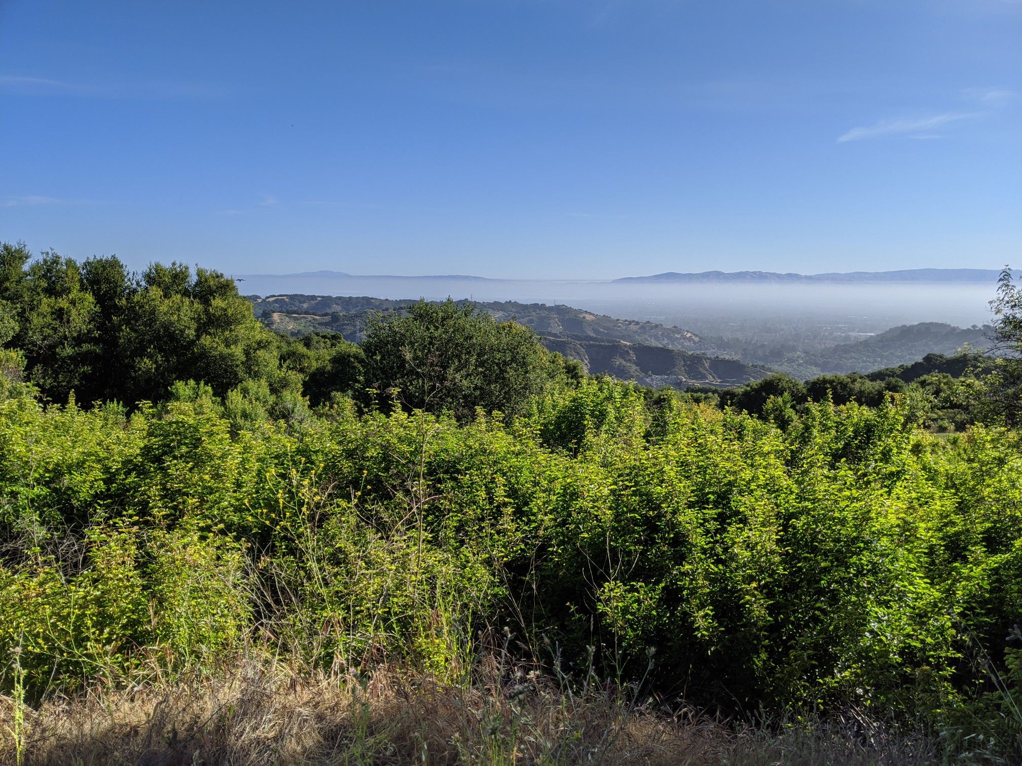 Lush green hills and distant mountains shrouded in morning fog under a clear sky. - Stevens Creek Reservoir – White Oak Trail loop from De Anza College