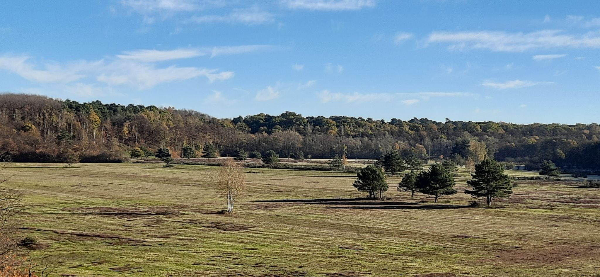 Wahner Heide