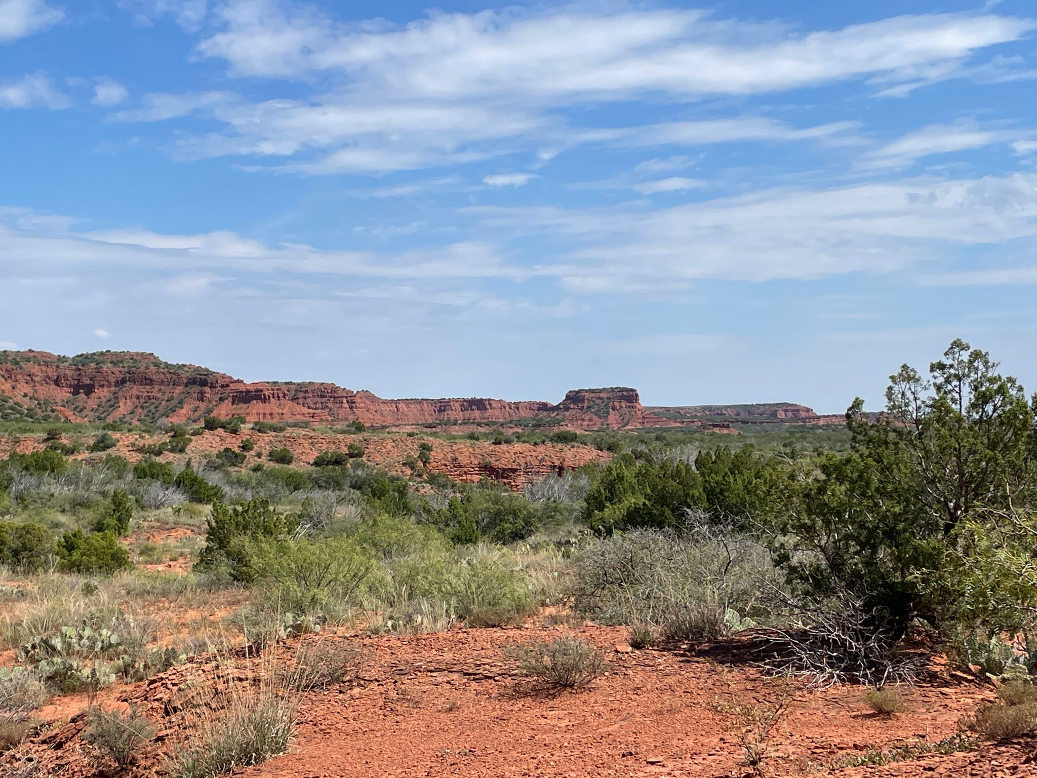 Expansive red rock landscape with sparse green vegetation under a clear sky. - Lower Canyon Trail Loop