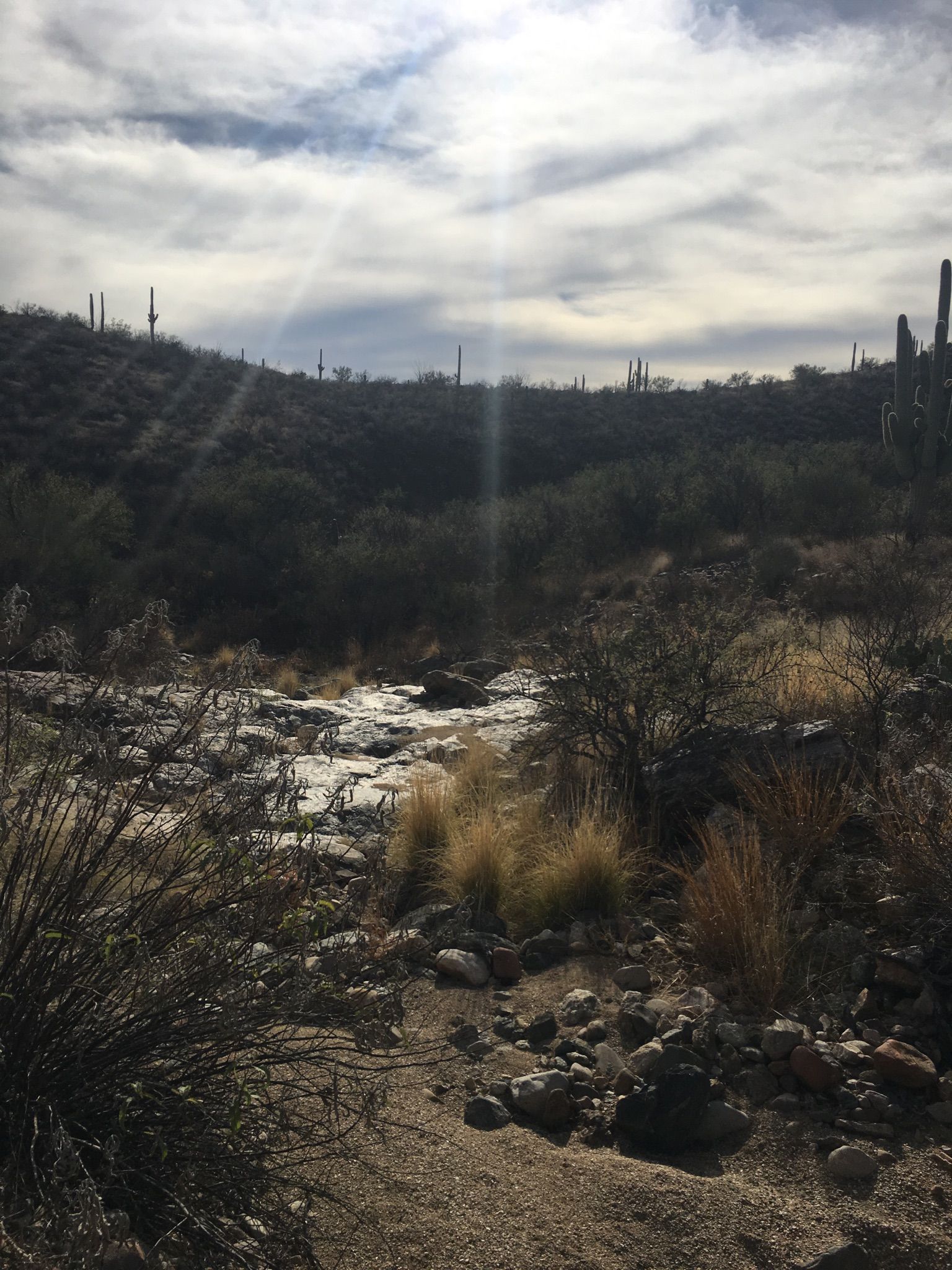 Sun rays shining through clouds over a rocky desert stream. - Hope Camp Trail – Rincon Creek loop from Camino Loma Alta