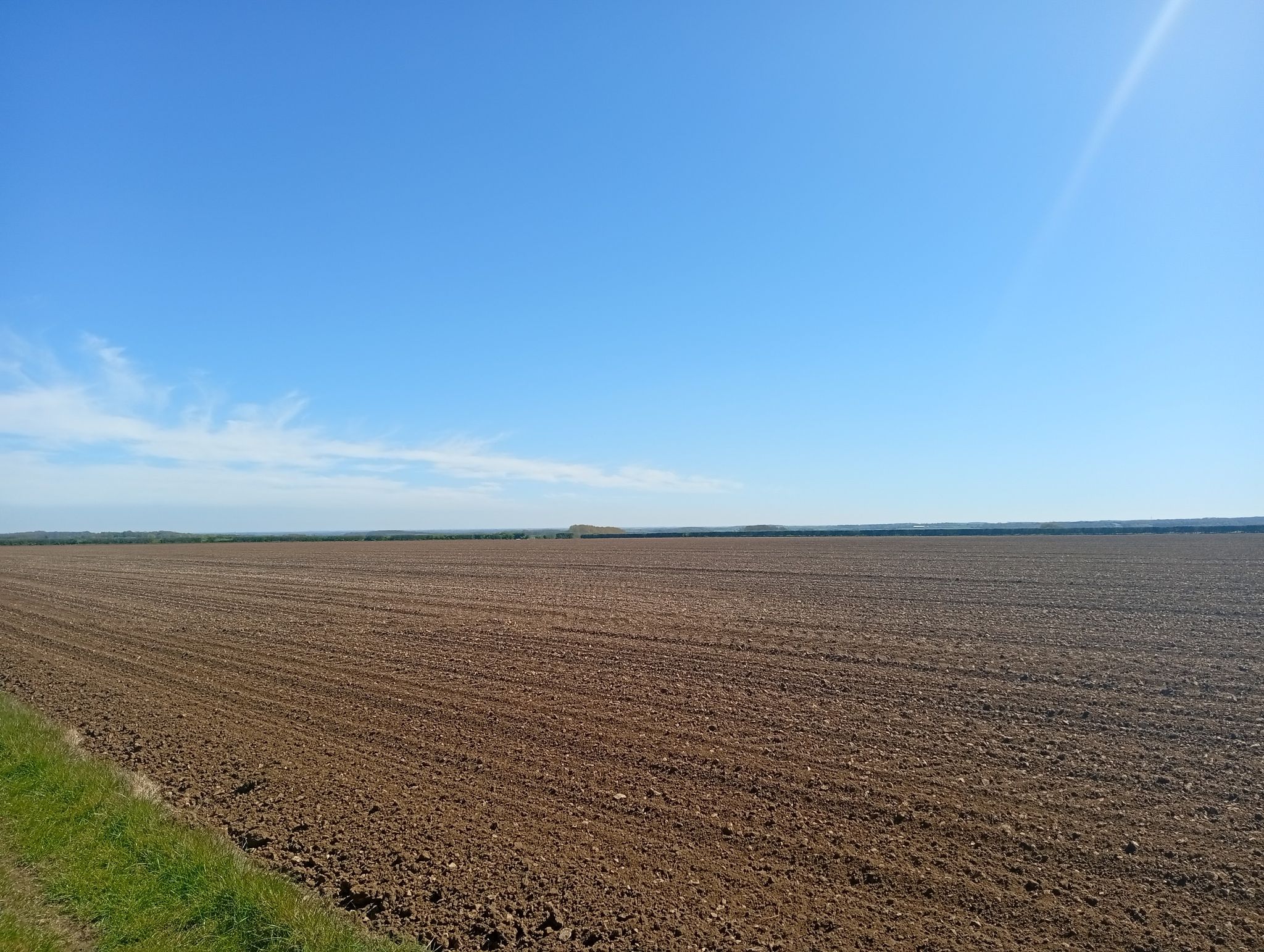 Wide open space 