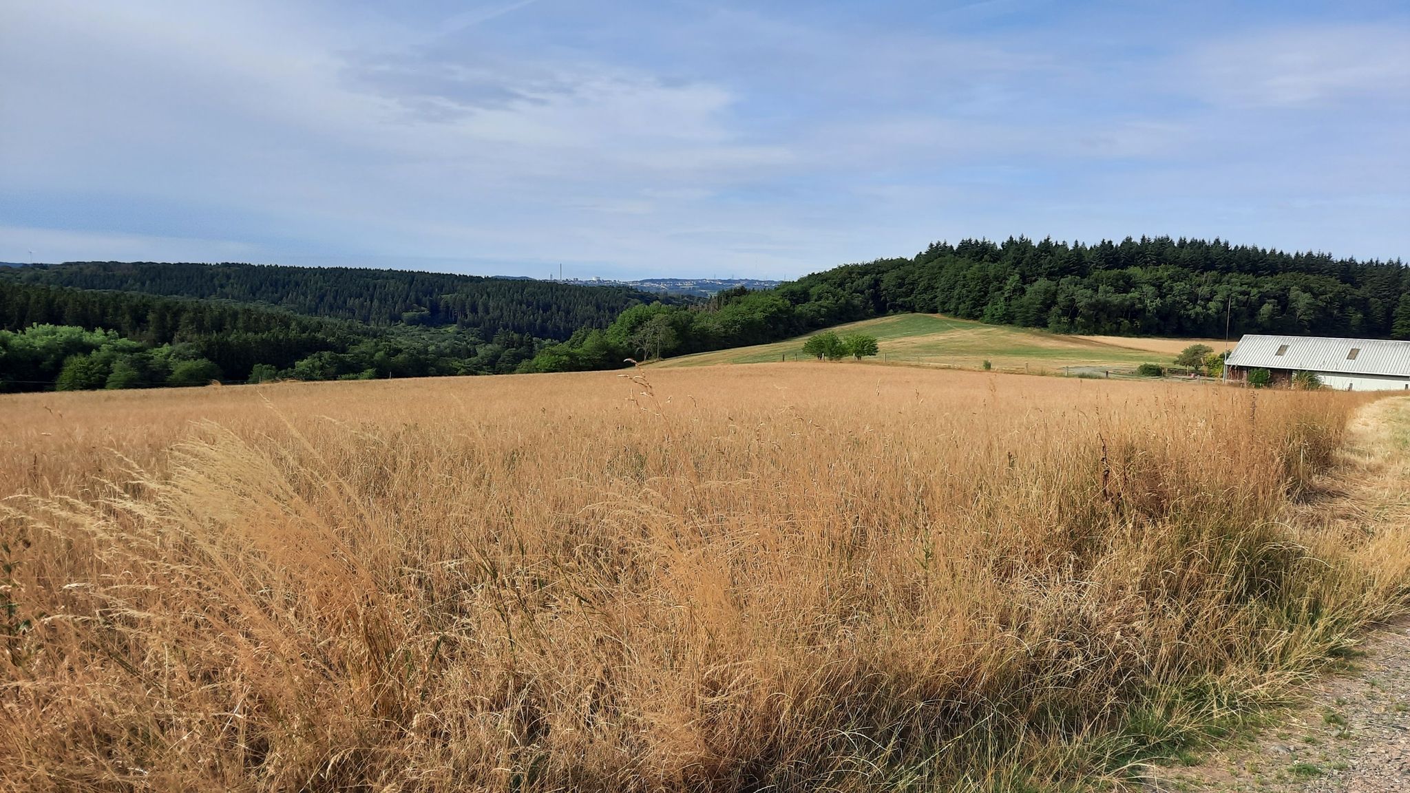 Aussicht bis zur Göttelborner Höhe, 444m