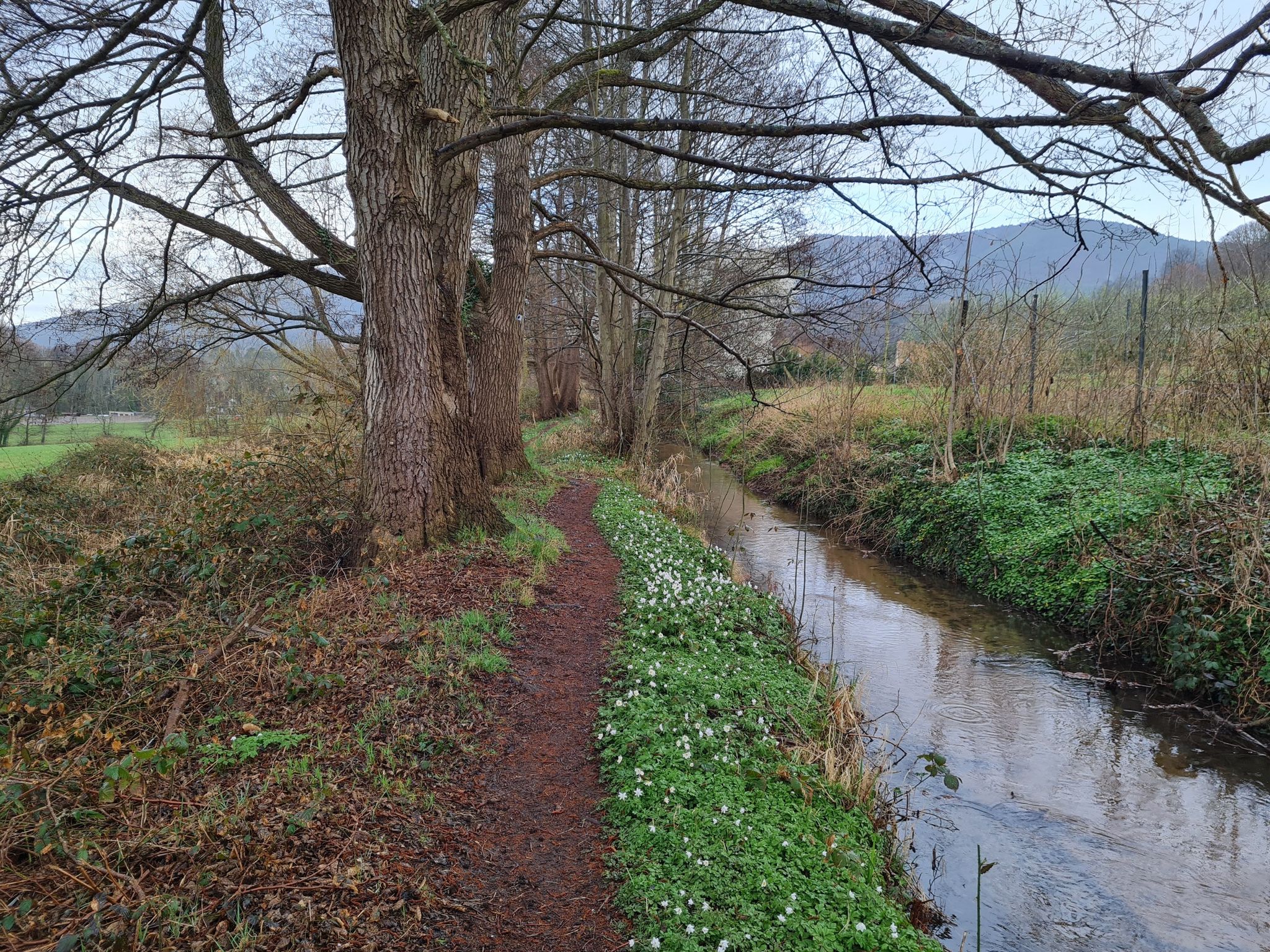 Am Ehnkanal entlang