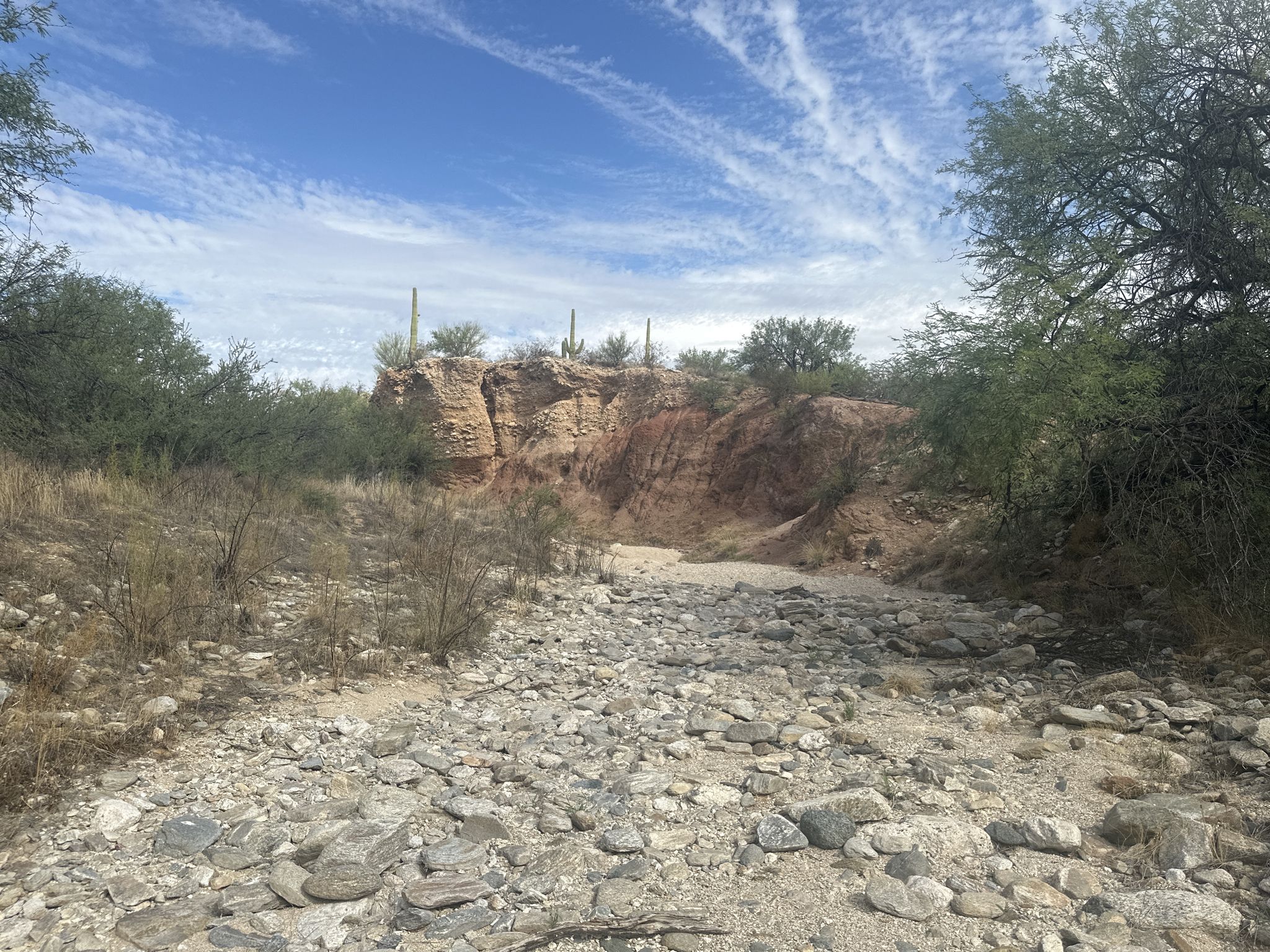 Rocky dry riverbed leading to eroded cliffs and desert vegetation under blue sky. - Loma Verde Mine Site – Loma Verde Wash loop from Pink Hill
