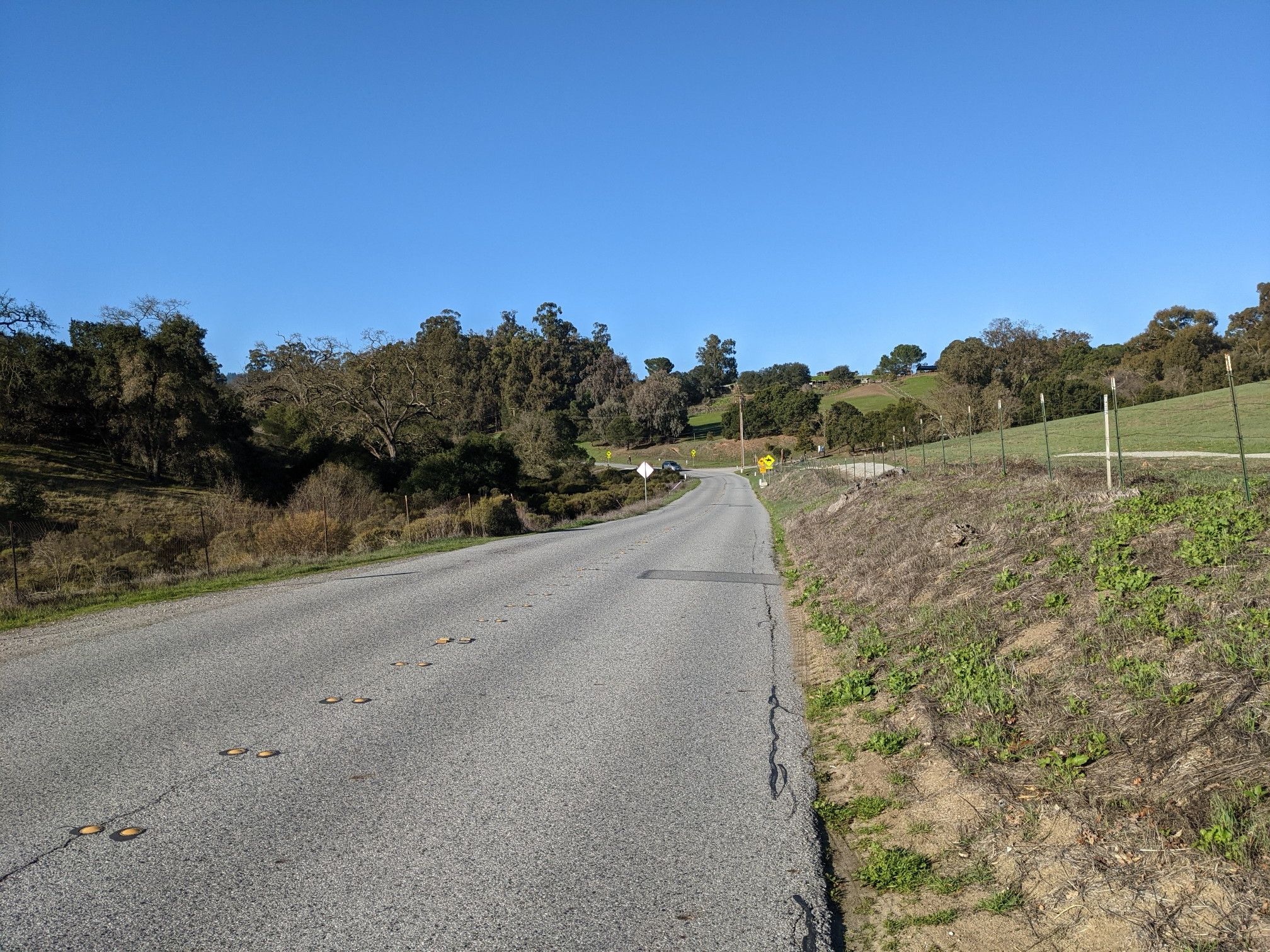 Empty paved road curving through green, grassy hills under a clear sky. - Arastradero Lake loop from Enid Pearson-Arastradero Preserve