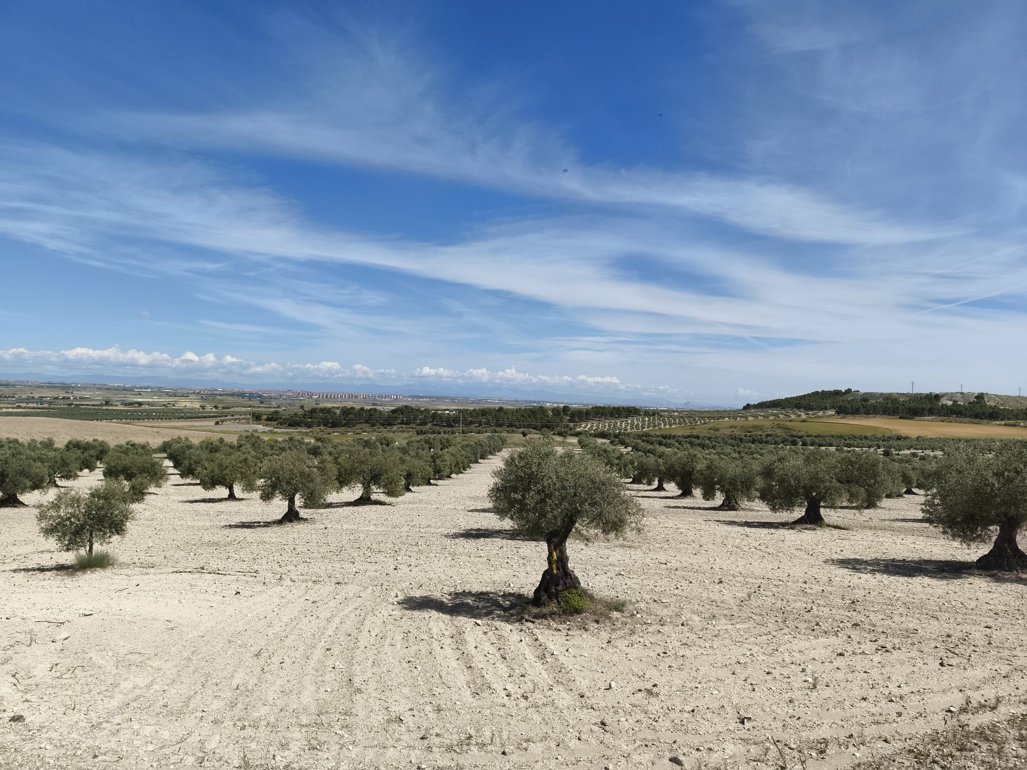 paisaje 