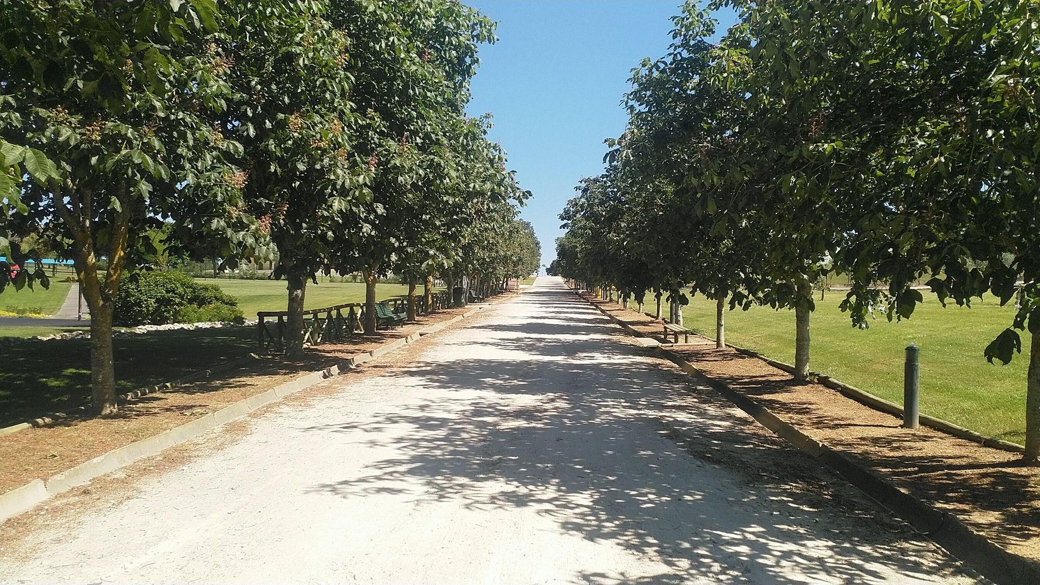 park