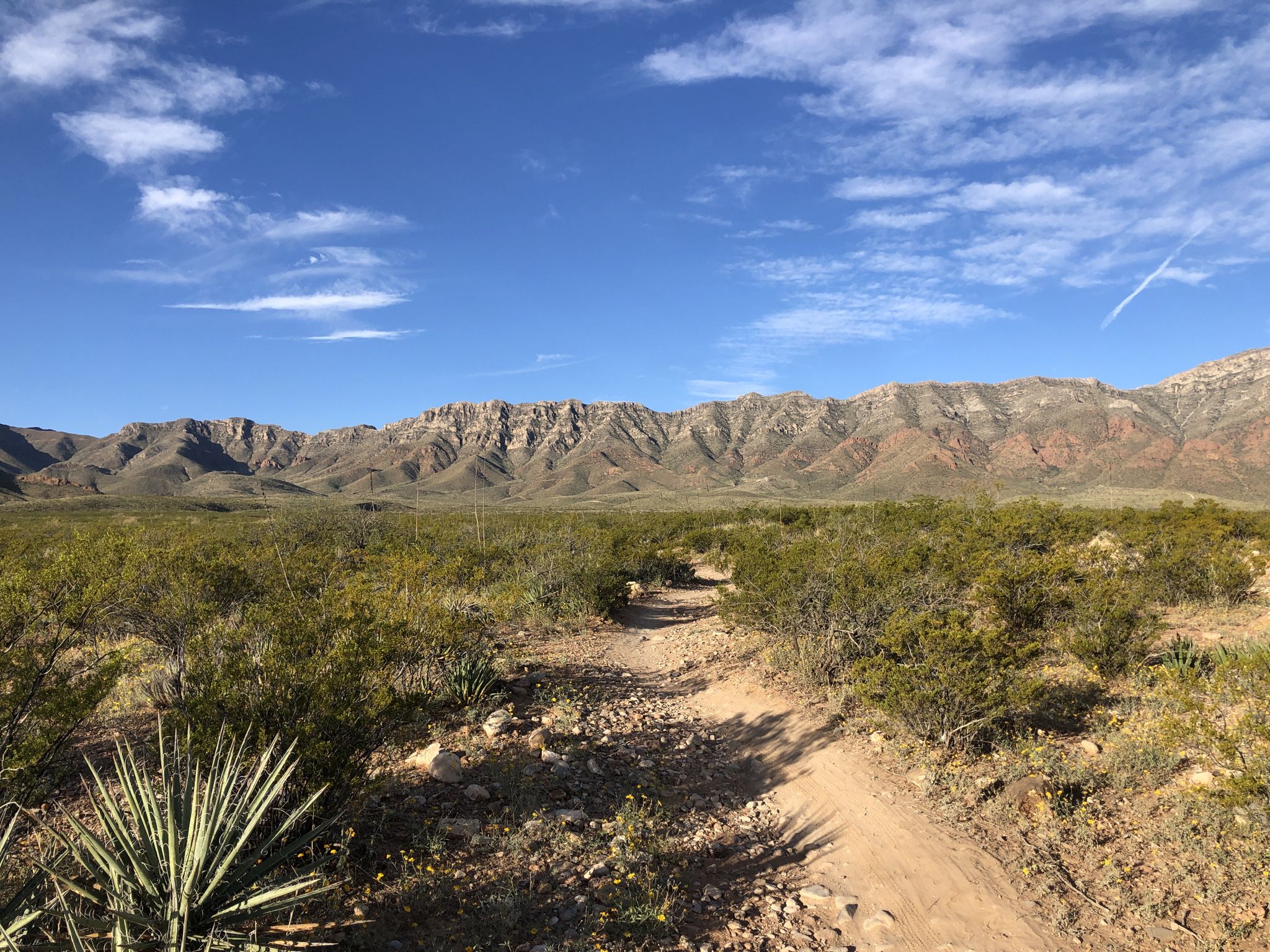 Dirt path through desert scrub leads to rugged mountains under clear sky. - Small wooden bridge – Lazy Cow Trail loop from Northwestern/Hoover