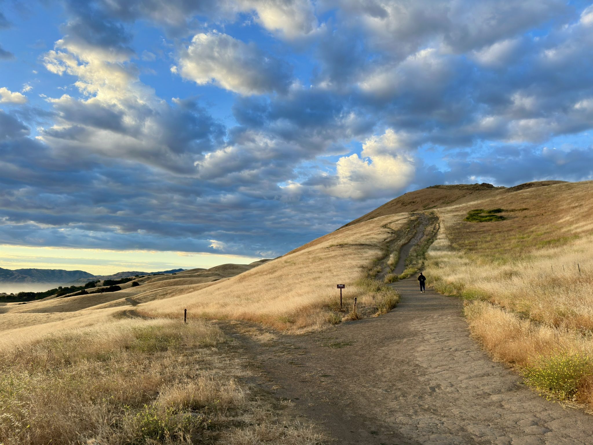 A person walks on a dirt path through golden hills under a cloudy sky. - Mission Peak and Peak Meadow Loop from Ohlone College