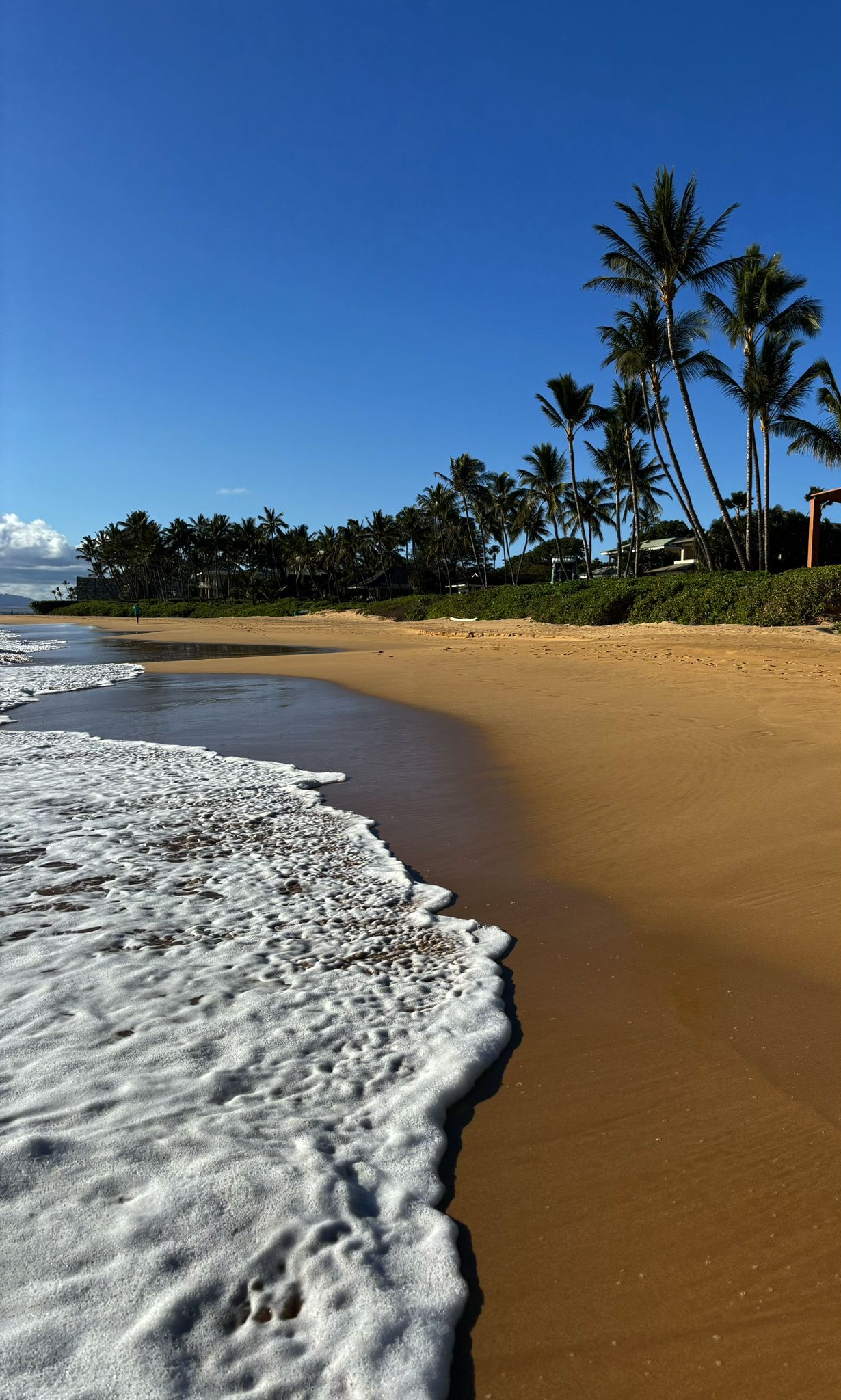Foamy ocean waves washing onto a golden sandy beach with palm trees. - Keawakapu Beach – Keawakapu Beach loop from Keawakapu