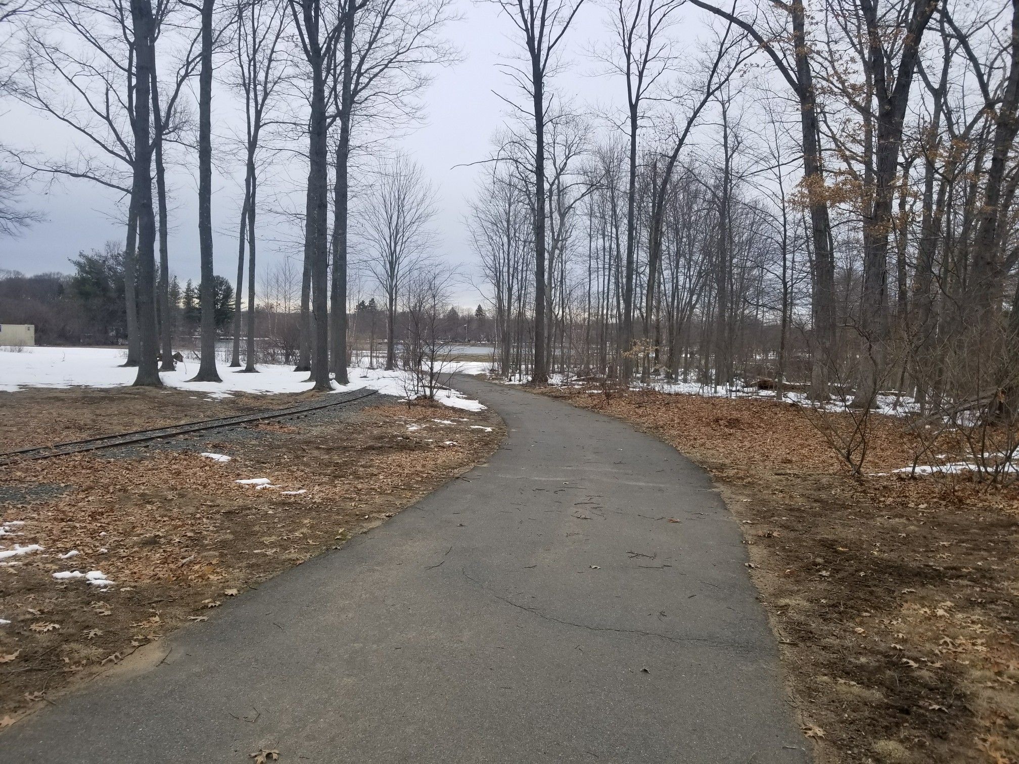 Overcast winter scene with a paved path, bare trees, and patches of snow. - Horseshoe Lake loop from Succasunna