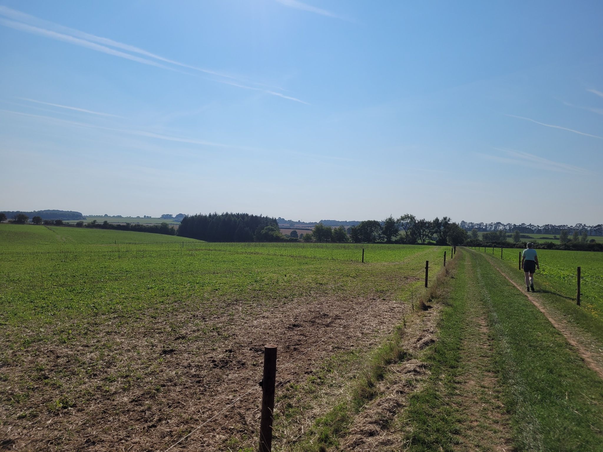 Door open veld naar het Westen