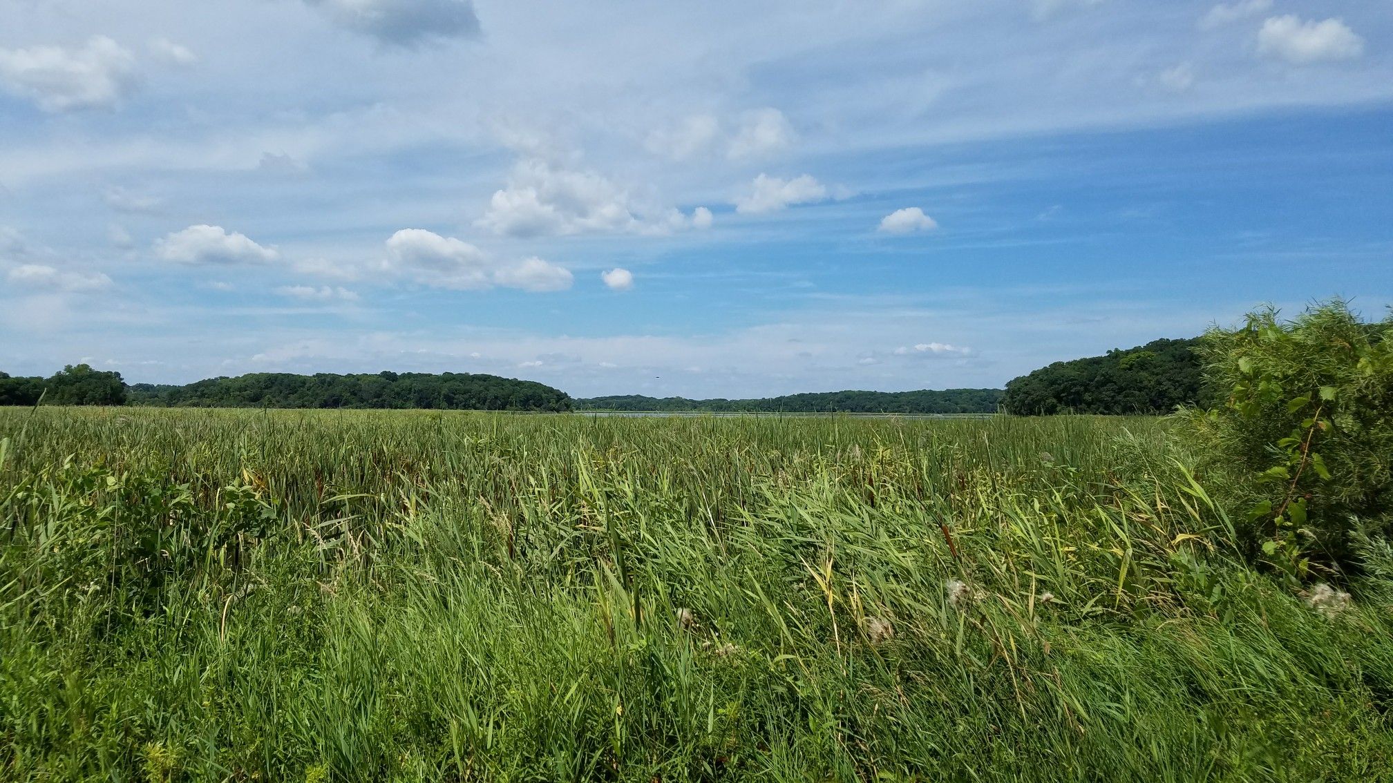 Expansive green field with distant trees under a partly cloudy blue sky. - Lake Independence Regional Trail Loop