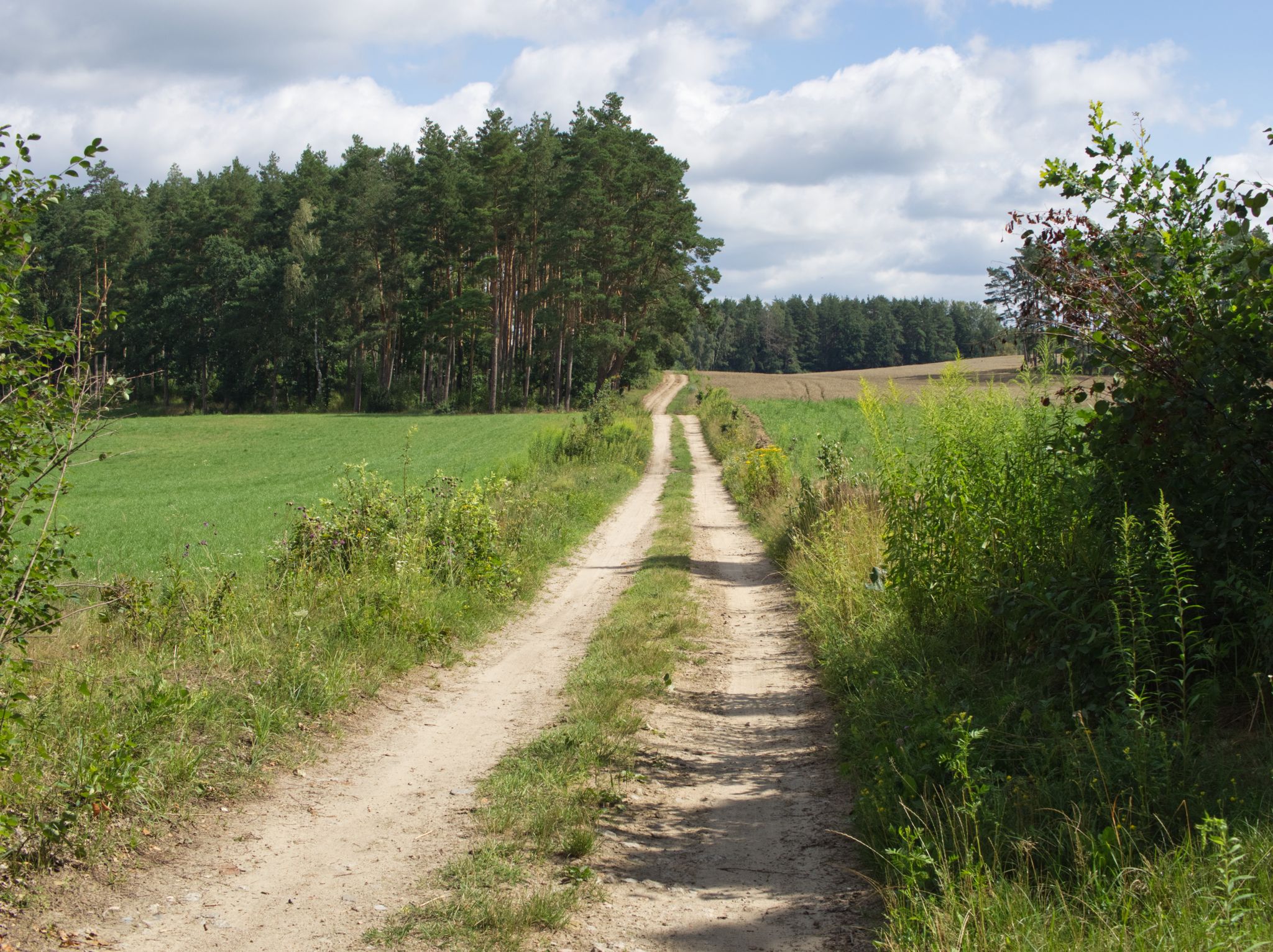Trochę duktów polnych.
