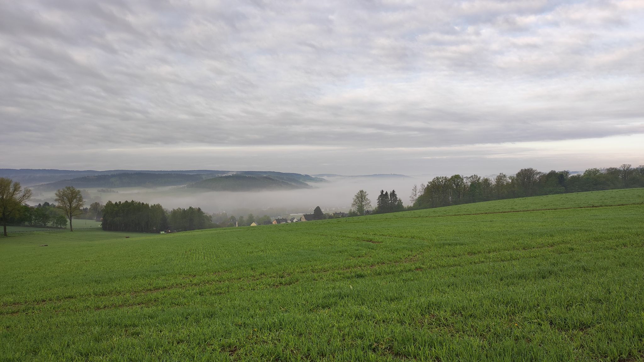 noch liegt Nebel in den Tälern