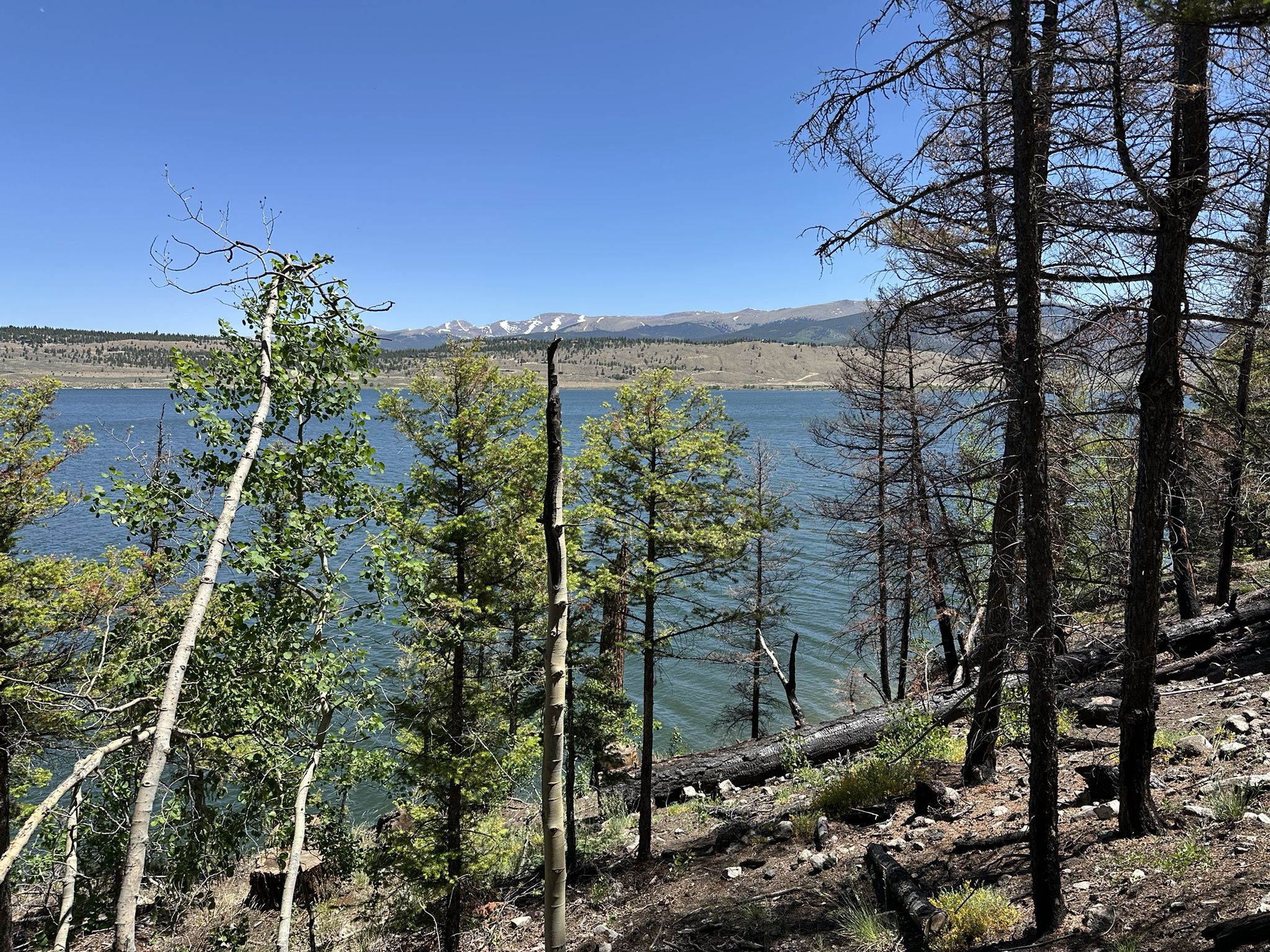 Sunny view of a rippling lake framed by trees, with distant snowy mountains. - Twin Lakes – Interlaken Trailhead loop from Twin Lakes Dam