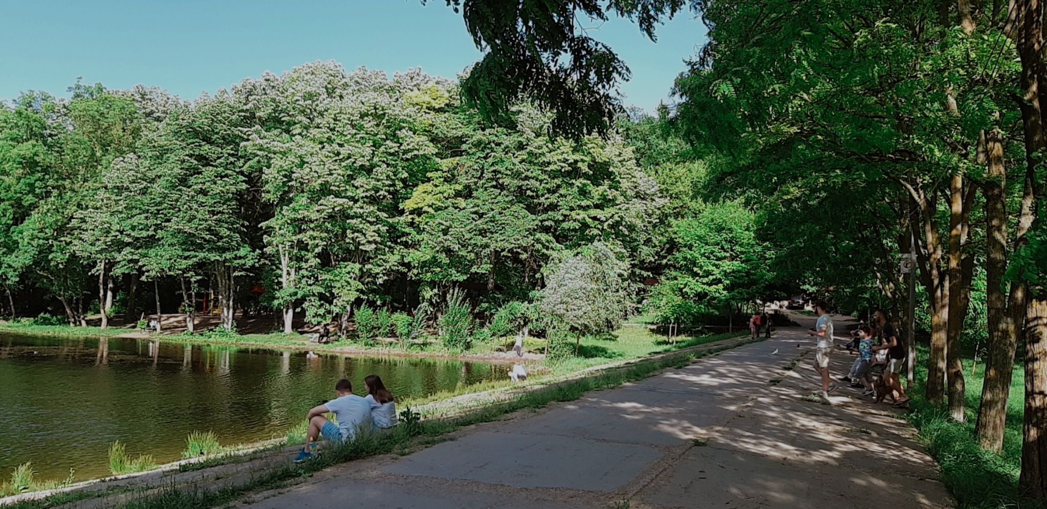 Lake view alee