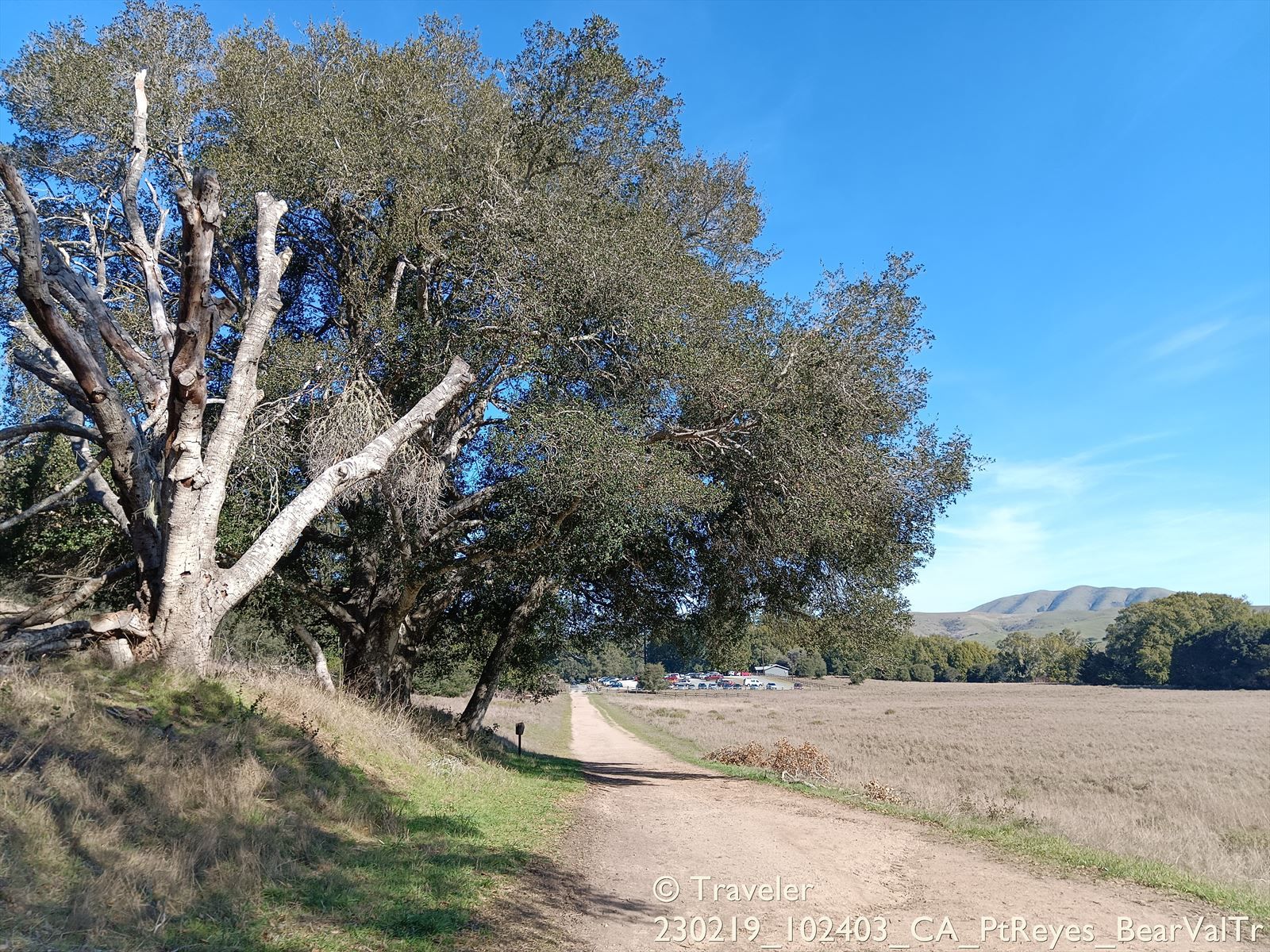 Dirt path next to a field, large trees, and distant hills under blue sky. - Old Pine, Sky, and Meadow Loop