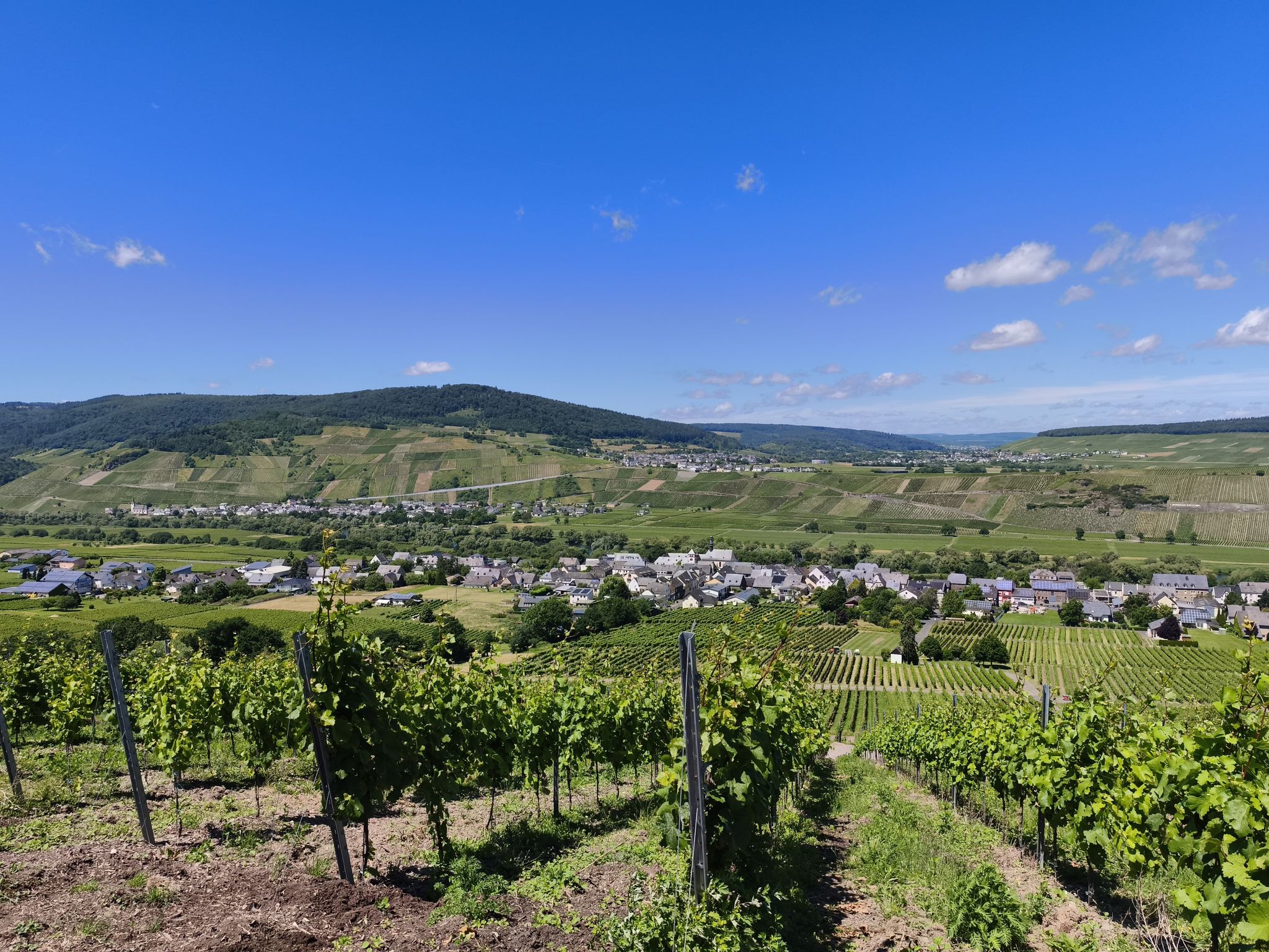 Moseltal, Brauneberg, Kesten, Monzel