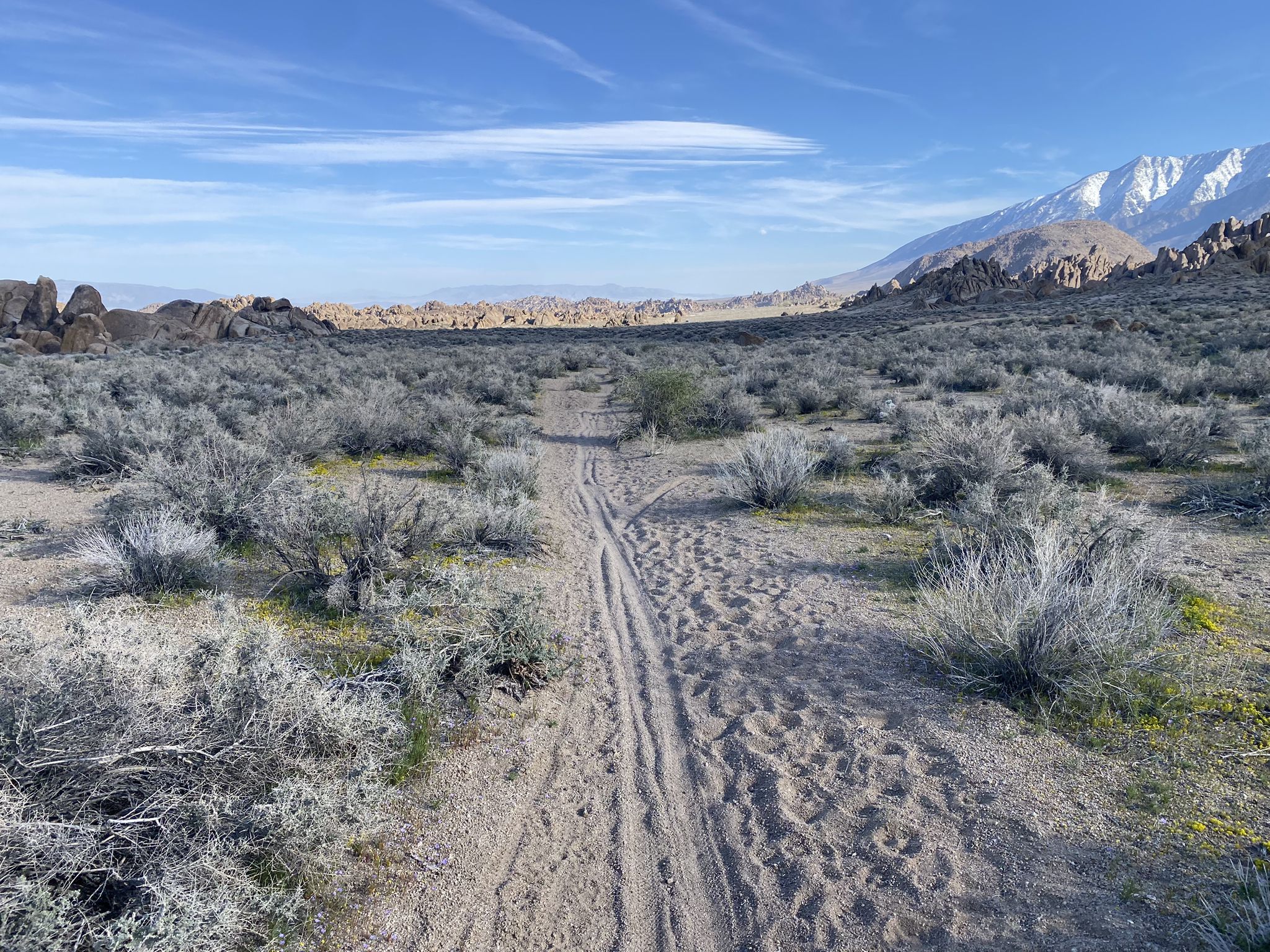 Sandy path through desert brush leads towards distant snow-capped mountains. - Alabama Hills loop
