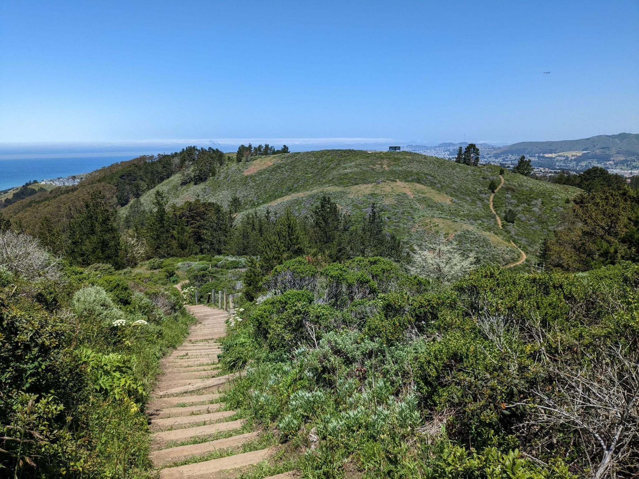 Winding dirt path with steps descends through green, rolling hills to the ocean. - Nike Missile Site – The Point loop from San Francisco State Fish and Game Refuge