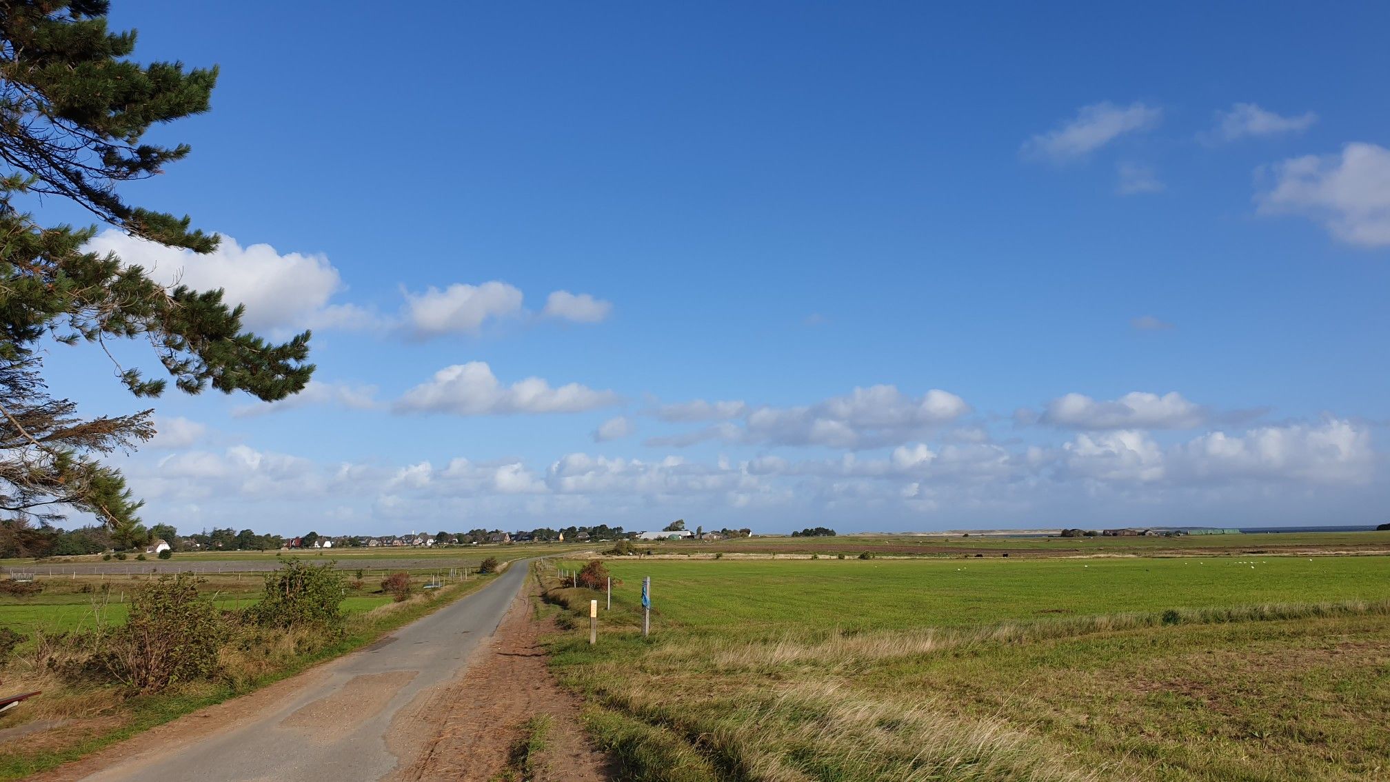 Norddorf im Hintergrund 