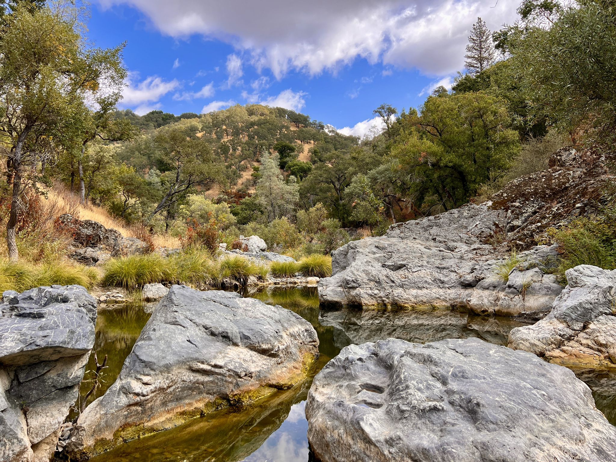 Rocky stream flowing through green, tree-covered hills under a bright sky. - Mississippi Lake loop from Coe Ranch