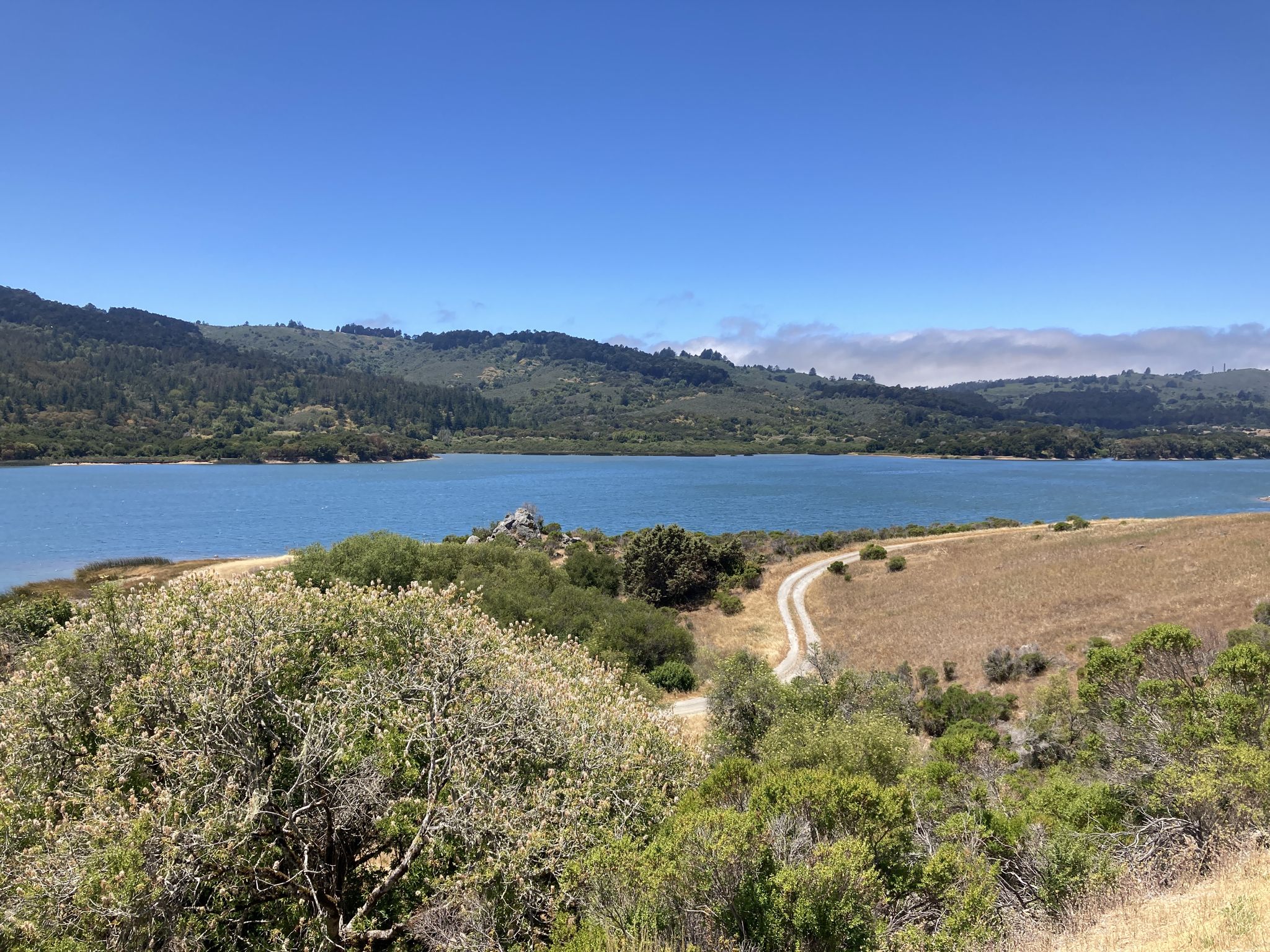 Bright sunny day over a lake with rolling hills and a dirt path. - Old La Honda & Kings Mountain loop from Palo Alto