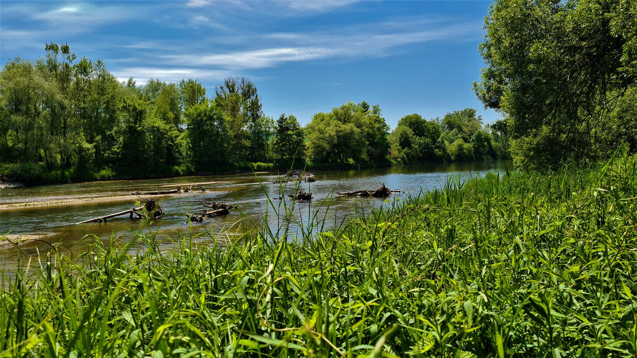 Isar