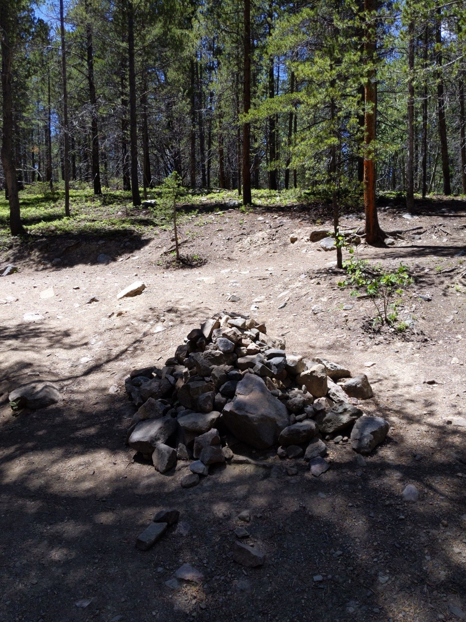 A rock cairn on a dirt path in a sun-dappled, dense pine forest. - Hiking loop from Breckenridge