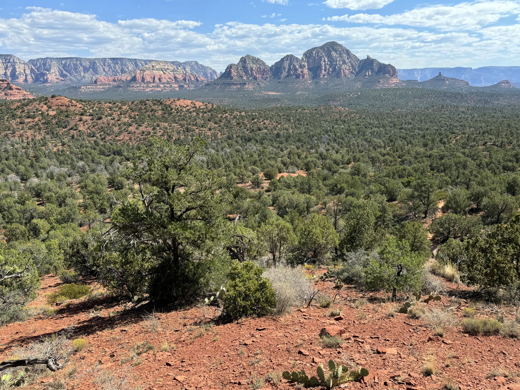 Vast desert landscape with red rock mountains under a bright, cloudy sky. - Aerie and Cockscomb Loop