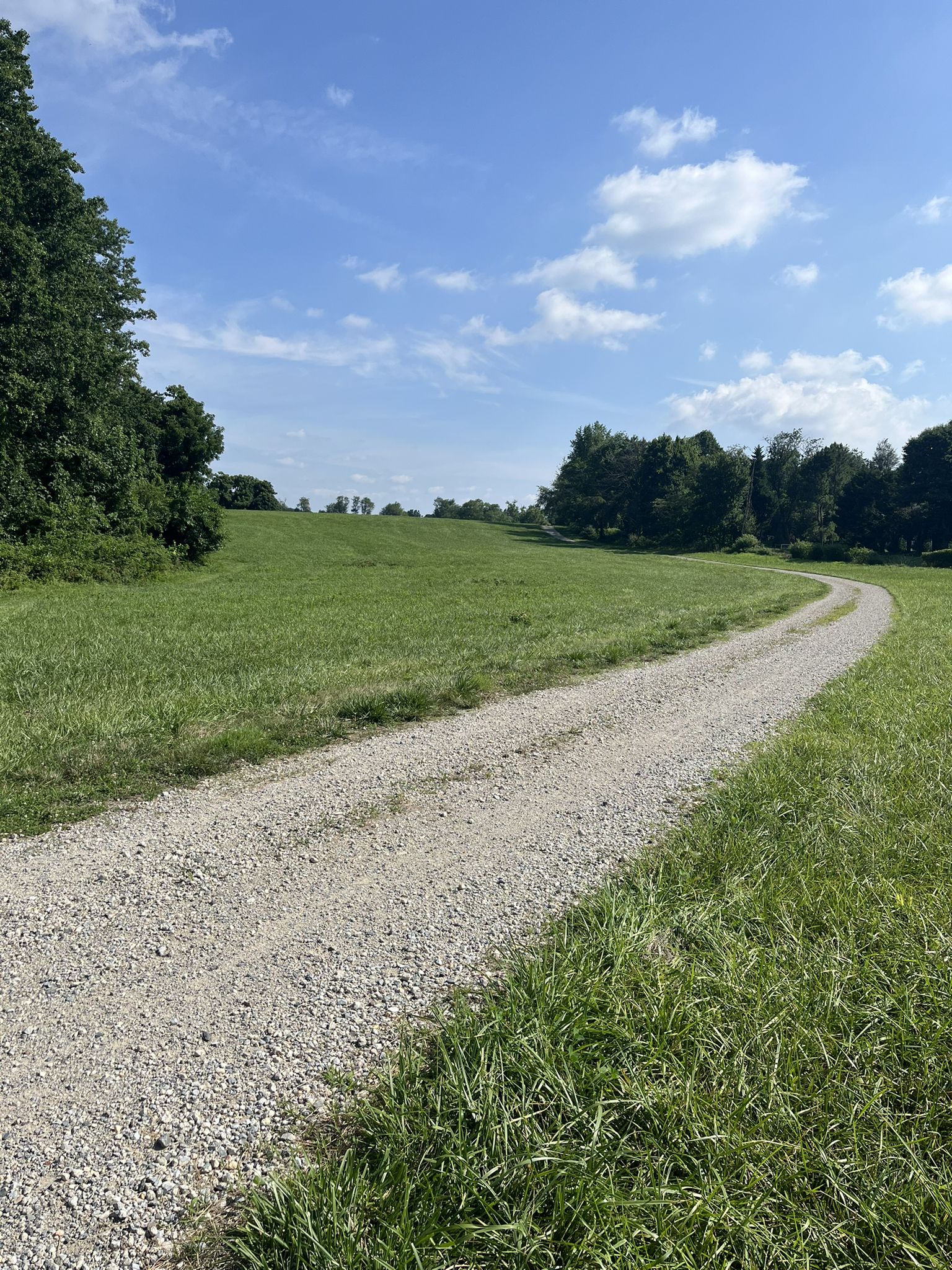 A winding gravel path through bright green fields under a blue sky. - Strahorn, Creek Road, and Little Egypt Loop