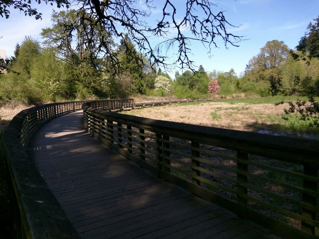 wood bridge