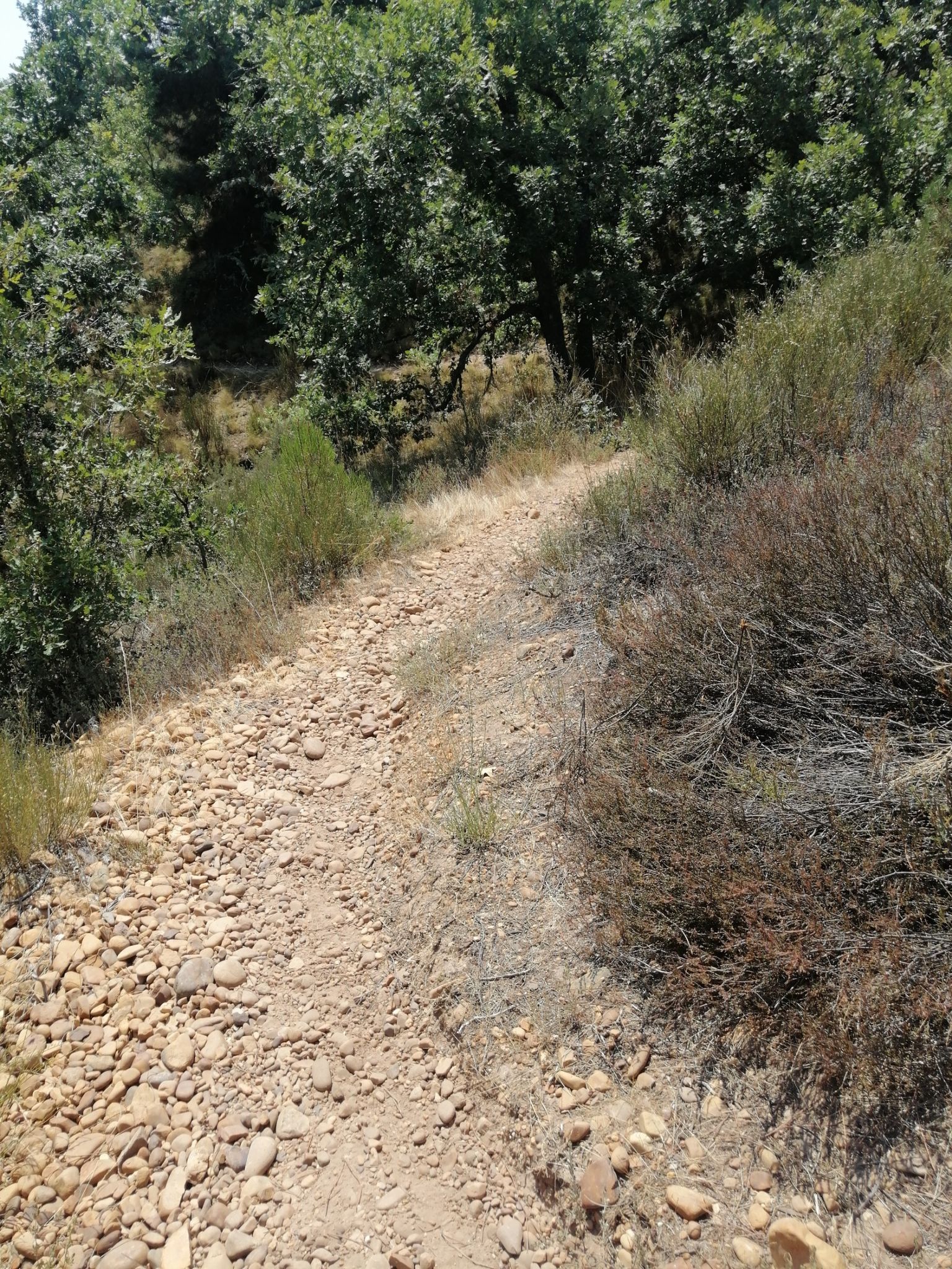 descenso moderado