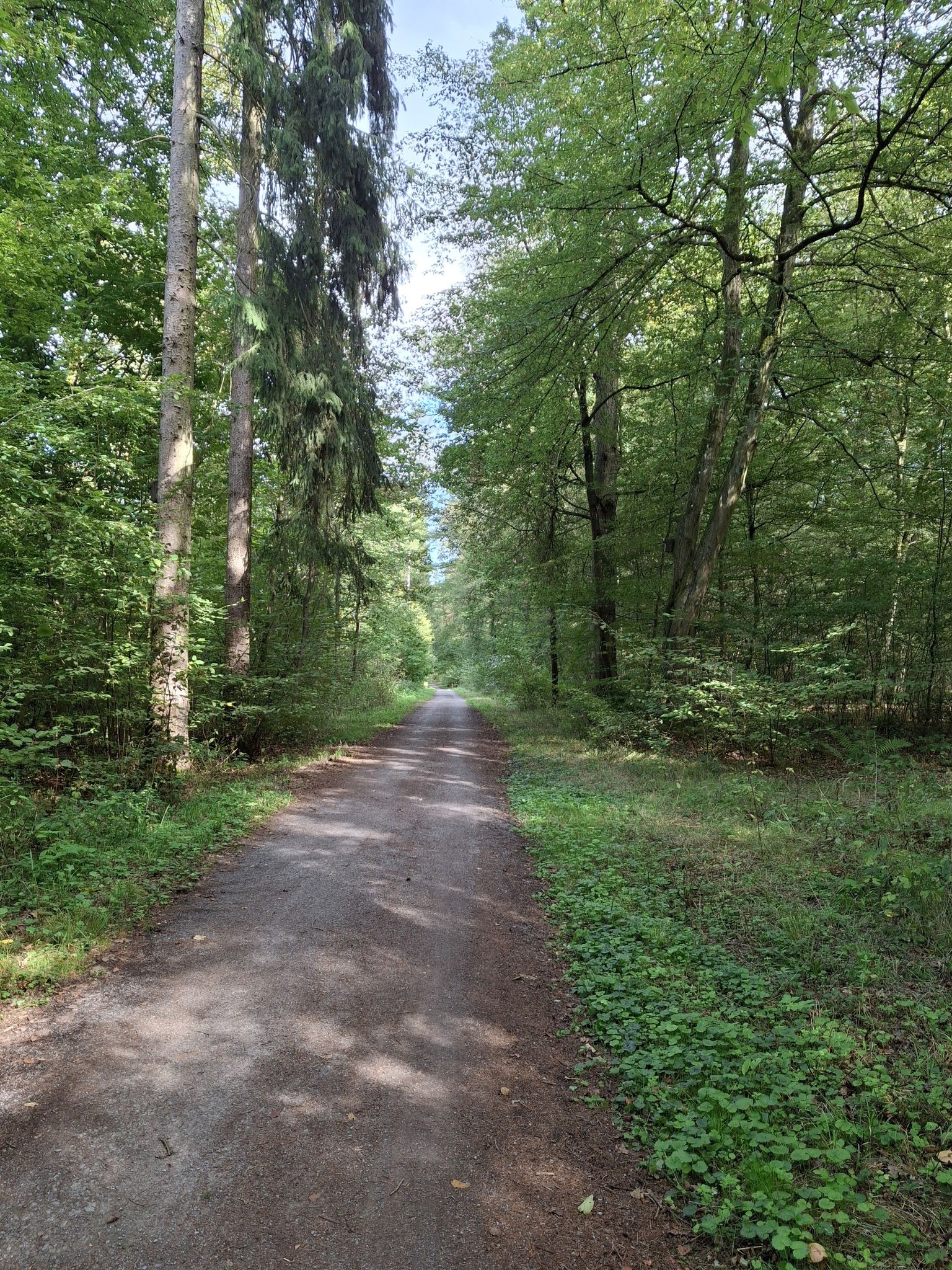 Zettlachwald
