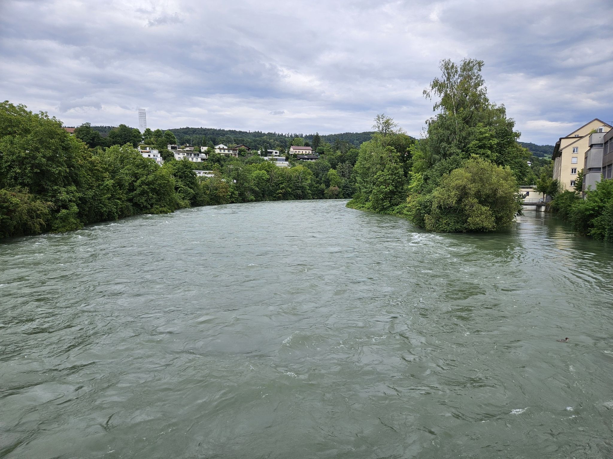 Blick von der Holzbrücke auf den Limmat.