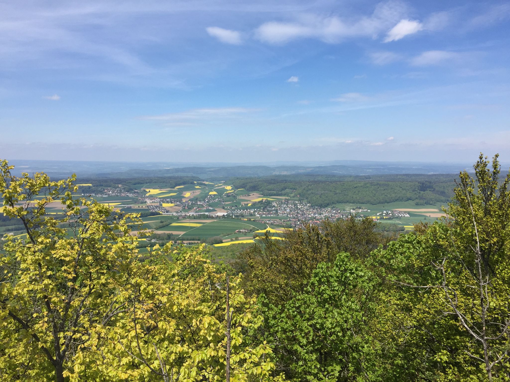 Ausblick Burghorn Richtung NO