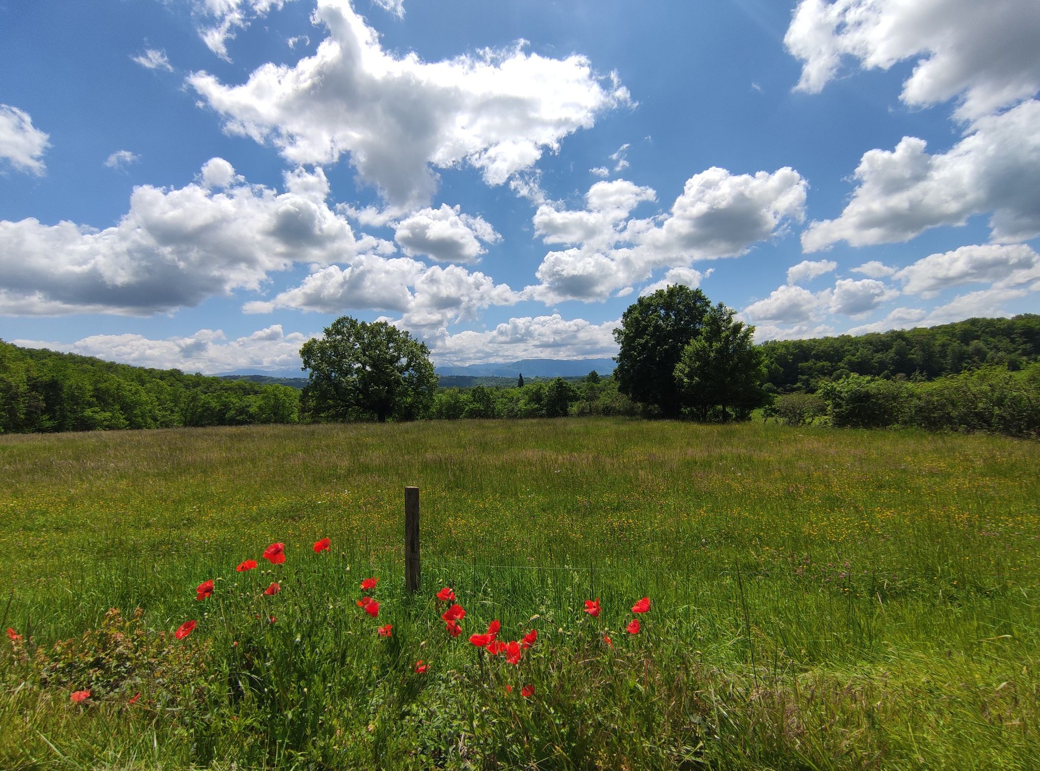 Campagne ariégeoise.