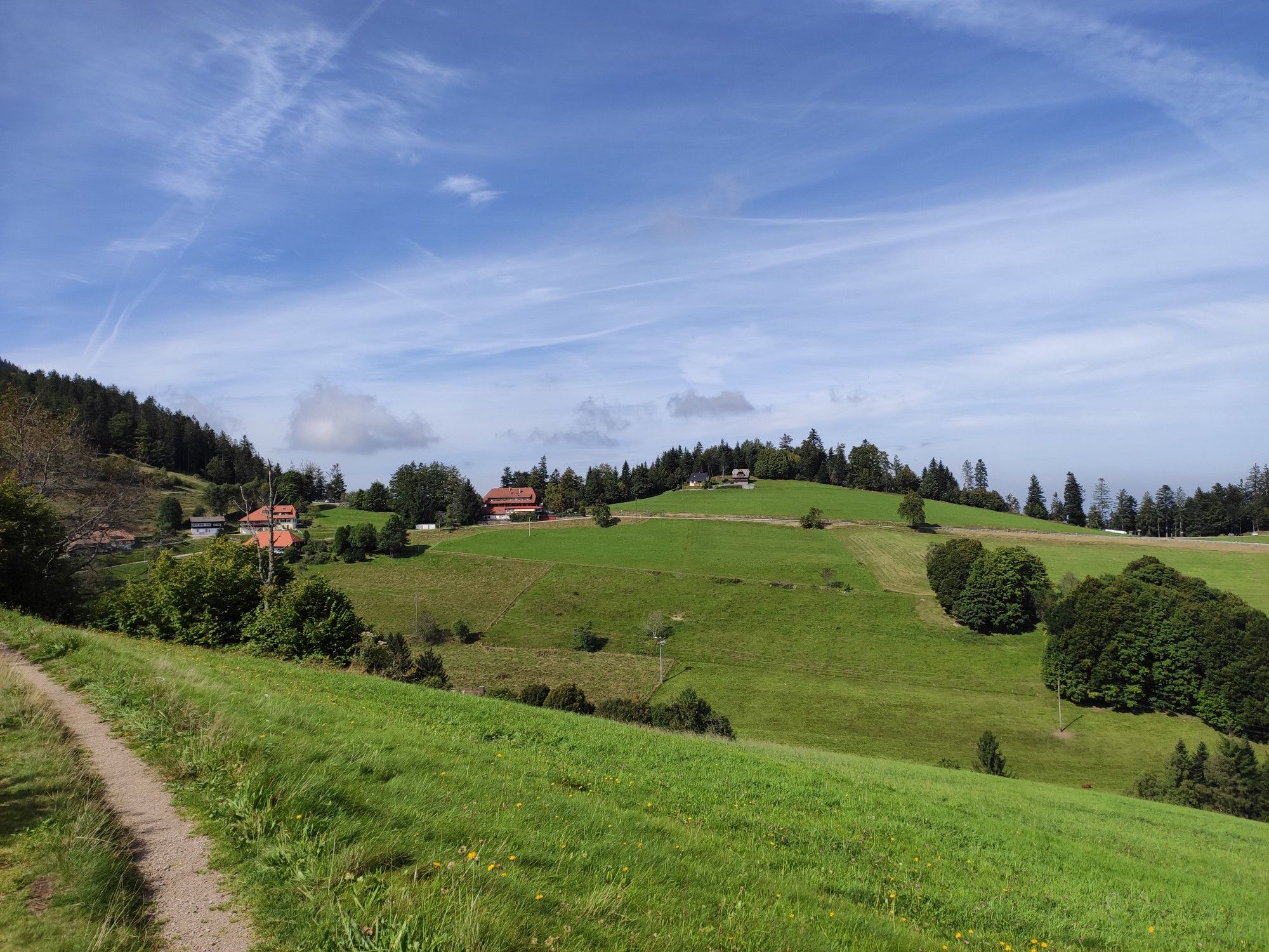 Aussicht auf den Haldenhof