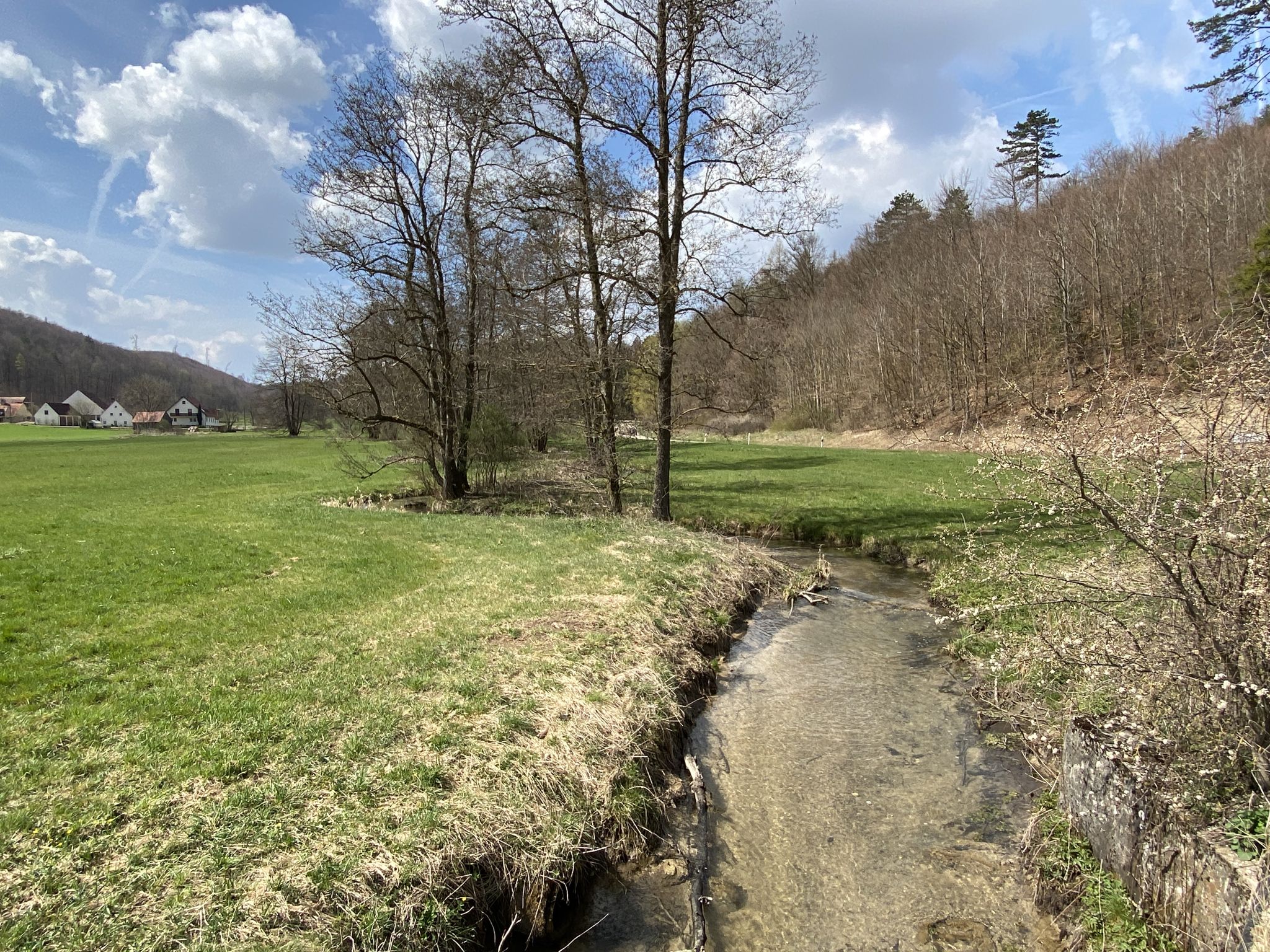 Überquerung des Forellenbaches