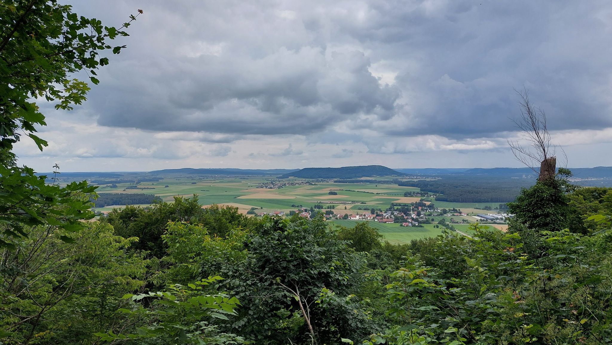 Blick zum Buchberg
