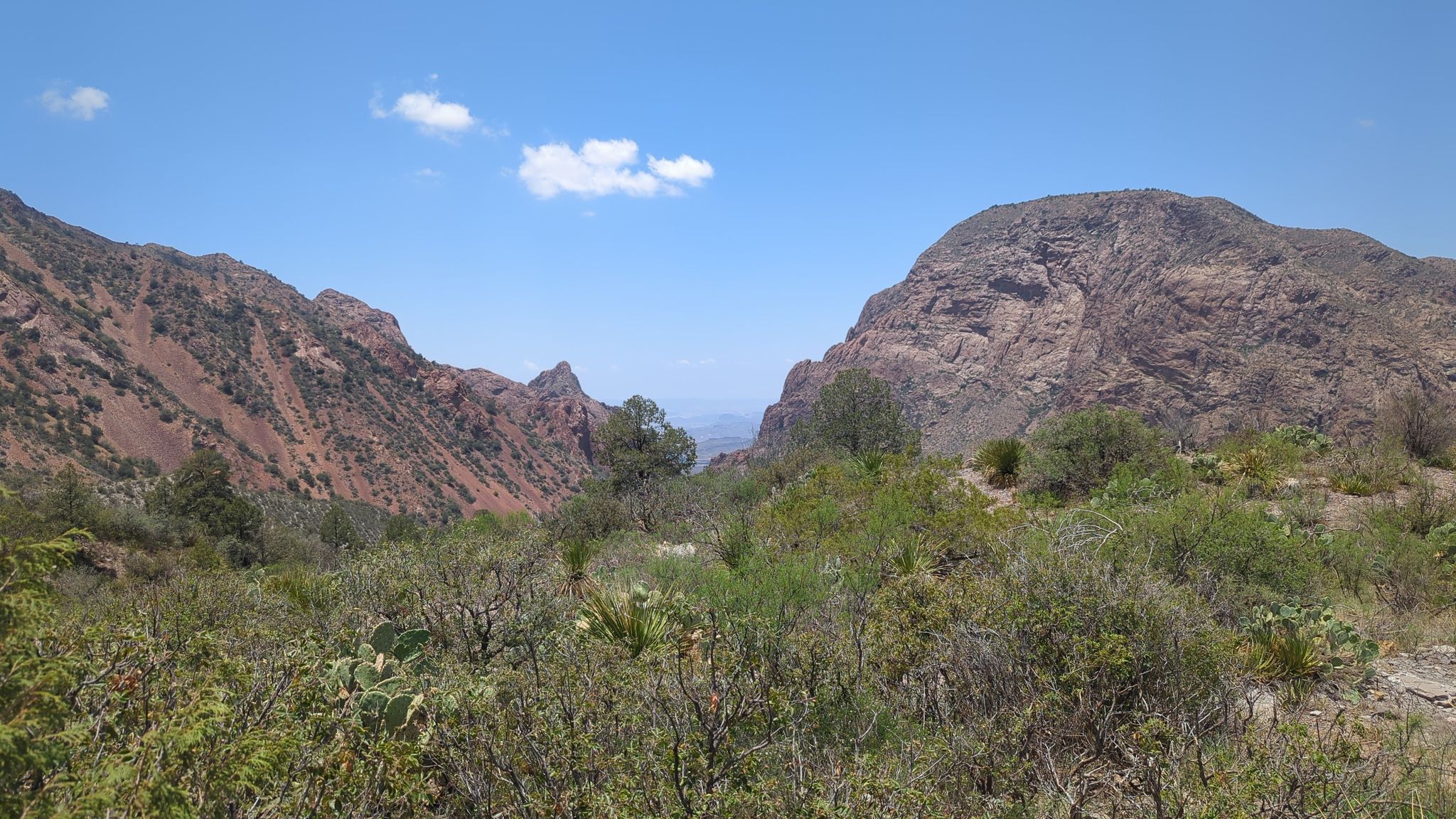 Arid landscape with scrub brush leading to a mountain pass under a blue sky. - Emory Peak Loop via Pinnacles and Laguna Meadow