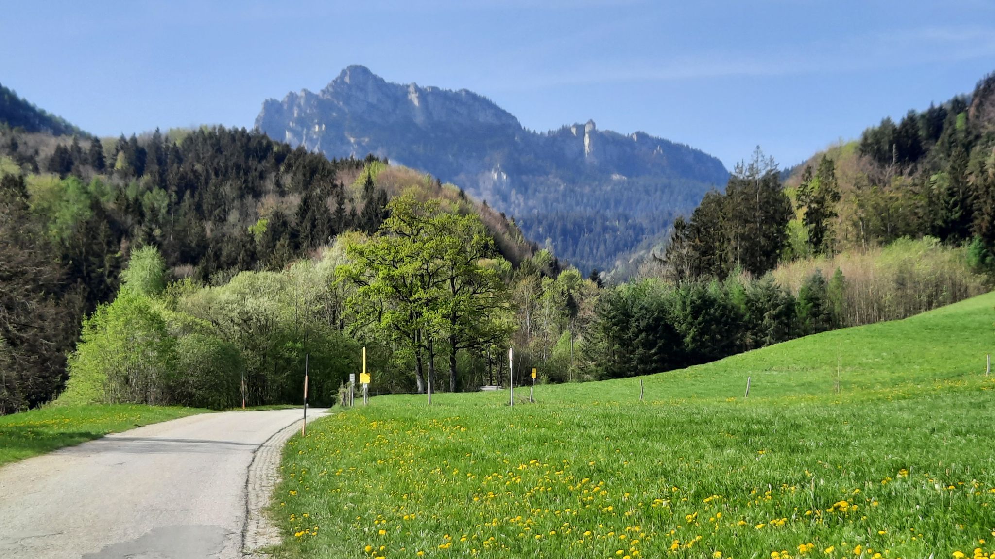 Gedererwand