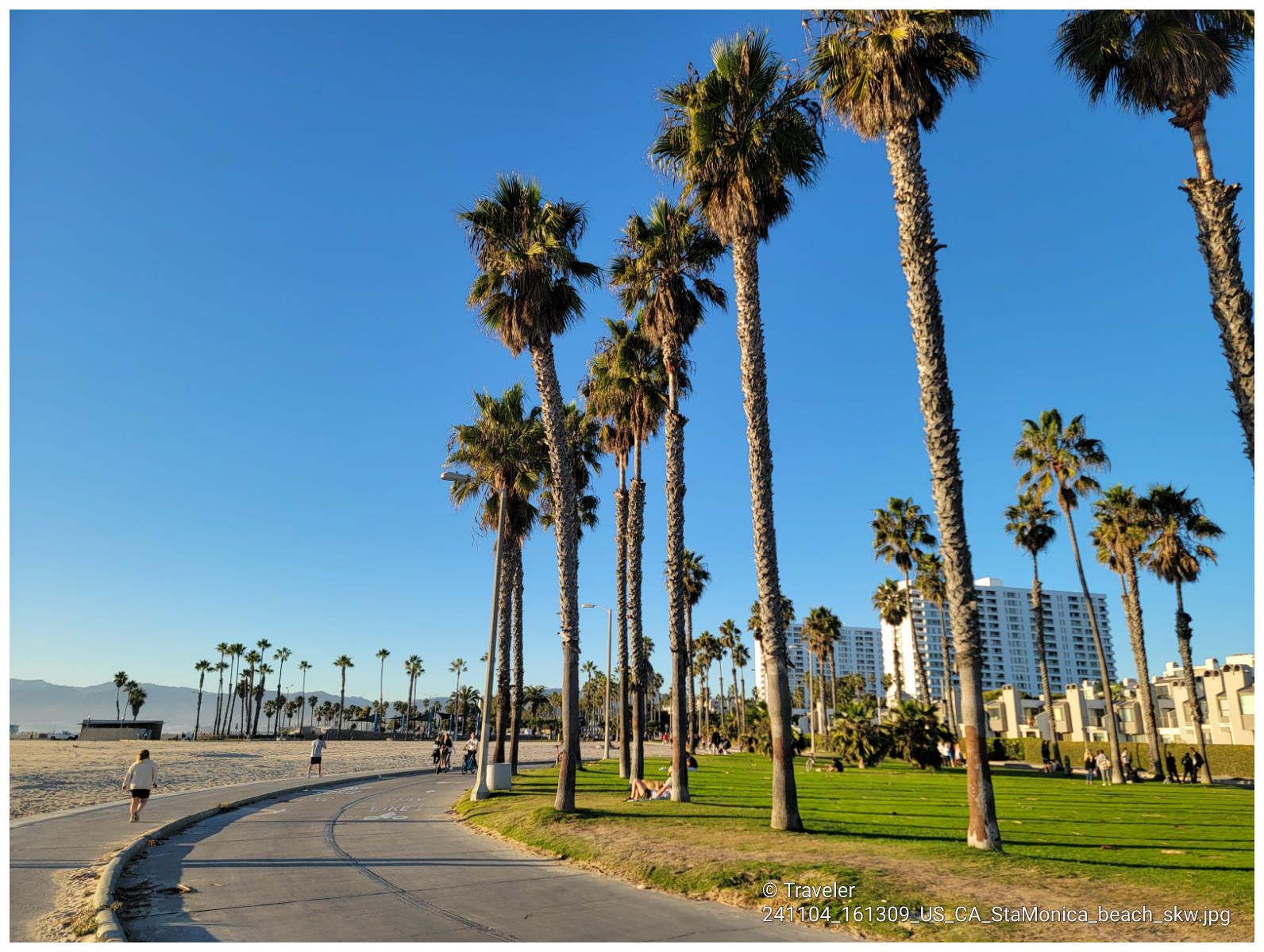 Tall palm trees lining a paved path next to a beach, with people walking. - Venice Beach Boardwalk out and back & Santa Monica